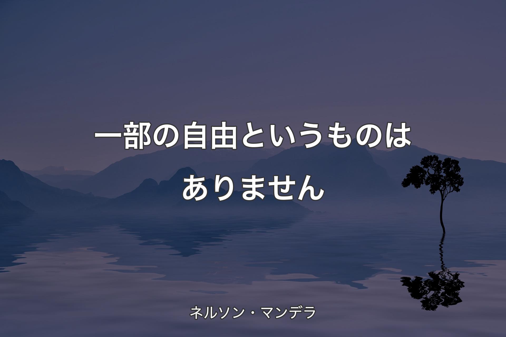 一部の自由というものはありません - ネルソン・マンデラ