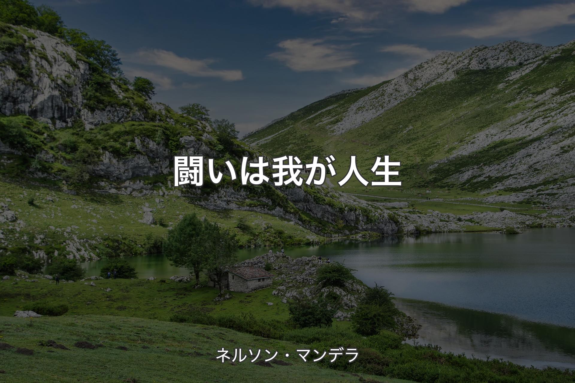 【背景1】闘いは我が人生 - ネルソン・マンデラ