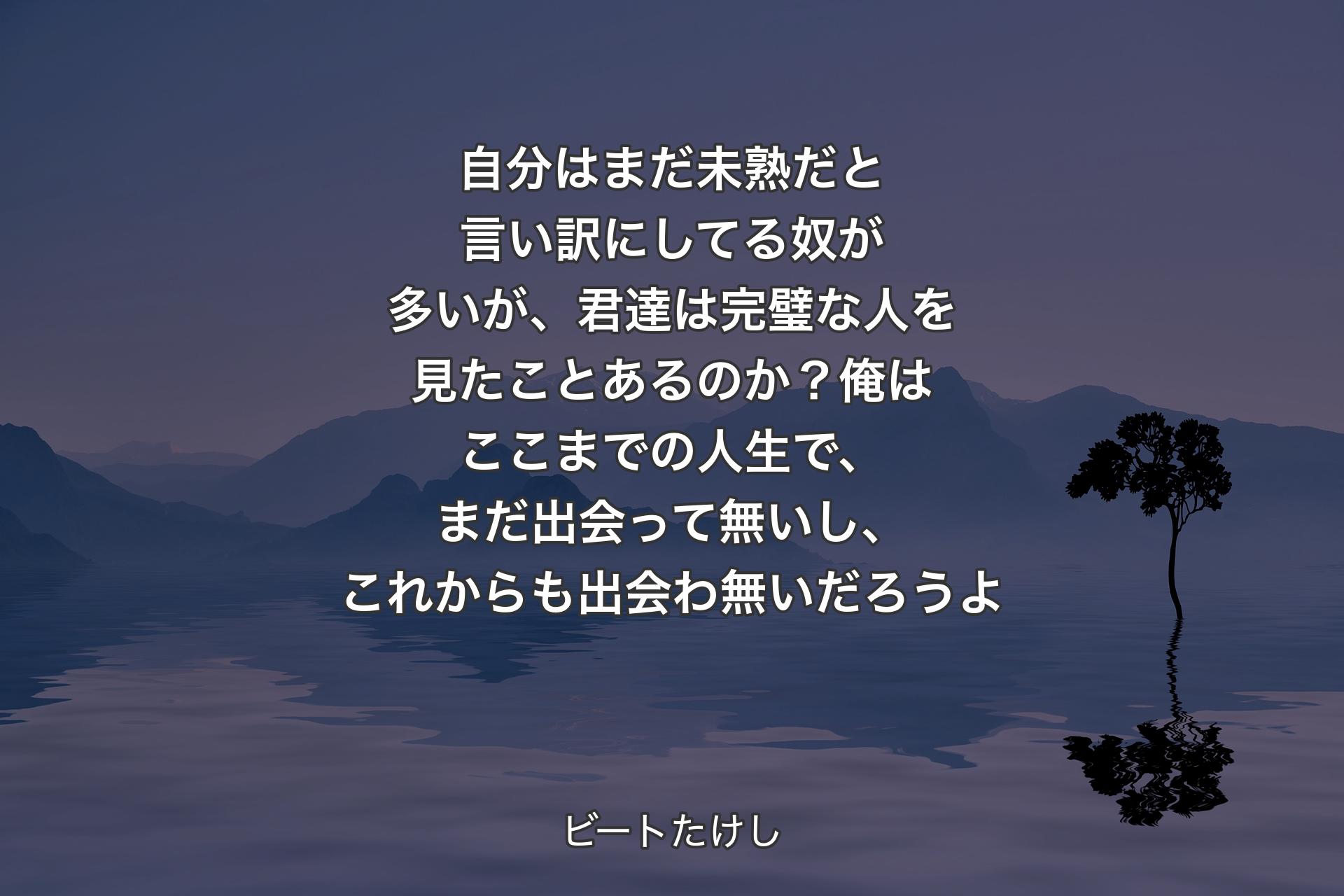 自分はまだ未熟だと言い訳にしてる奴が多いが、君達は完璧な人を見たことあるのか？俺はここまでの人生で、まだ出会って無いし、これからも出会わ無いだろうよ - ビートたけし