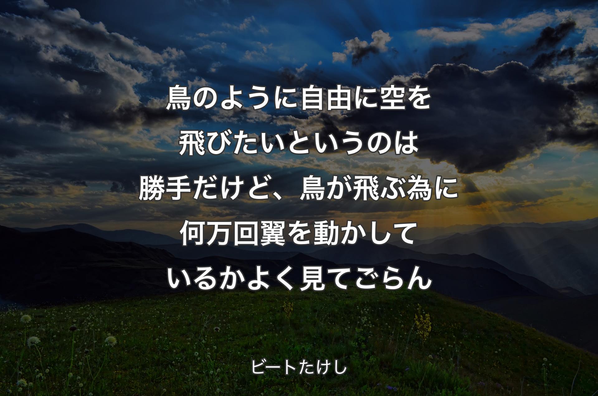 鳥のように自由に空を飛びたいというのは勝手だけど、鳥が飛ぶ為に何万回翼を動かしているかよく見てごらん - ビートたけし