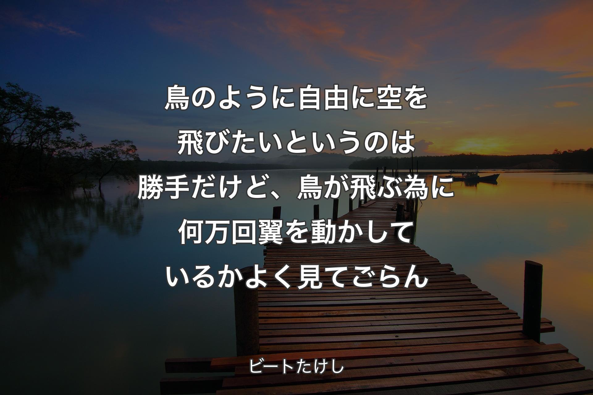 鳥のように自由に空を飛びたいというのは勝手だけど、鳥が飛ぶ為に何万回翼を動かしているかよく見てごらん - ビートたけし