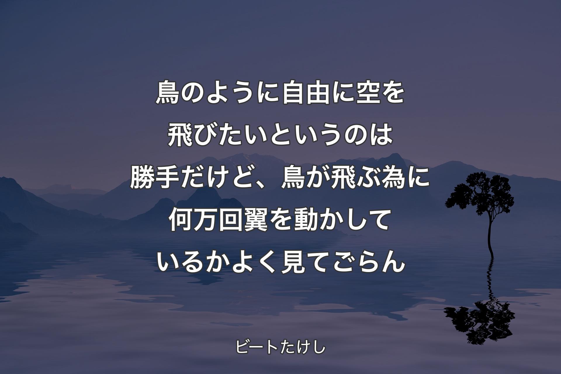 鳥のように自由に空を飛びたいというのは勝手だけど、鳥が飛ぶ為に何万回翼を動かしているかよく見�てごらん - ビートたけし