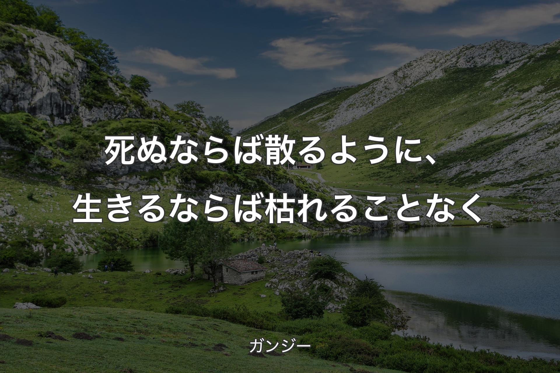 【背景1】死ぬならば散るように、生きるならば枯れることなく - ガンジー