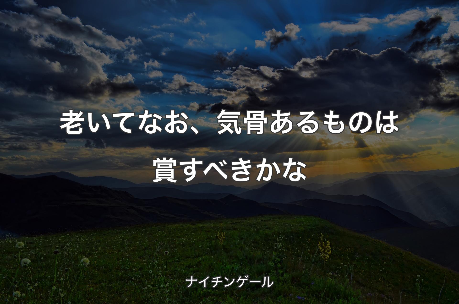 老いてなお、気骨あるものは賞すべきかな - ナイチンゲール