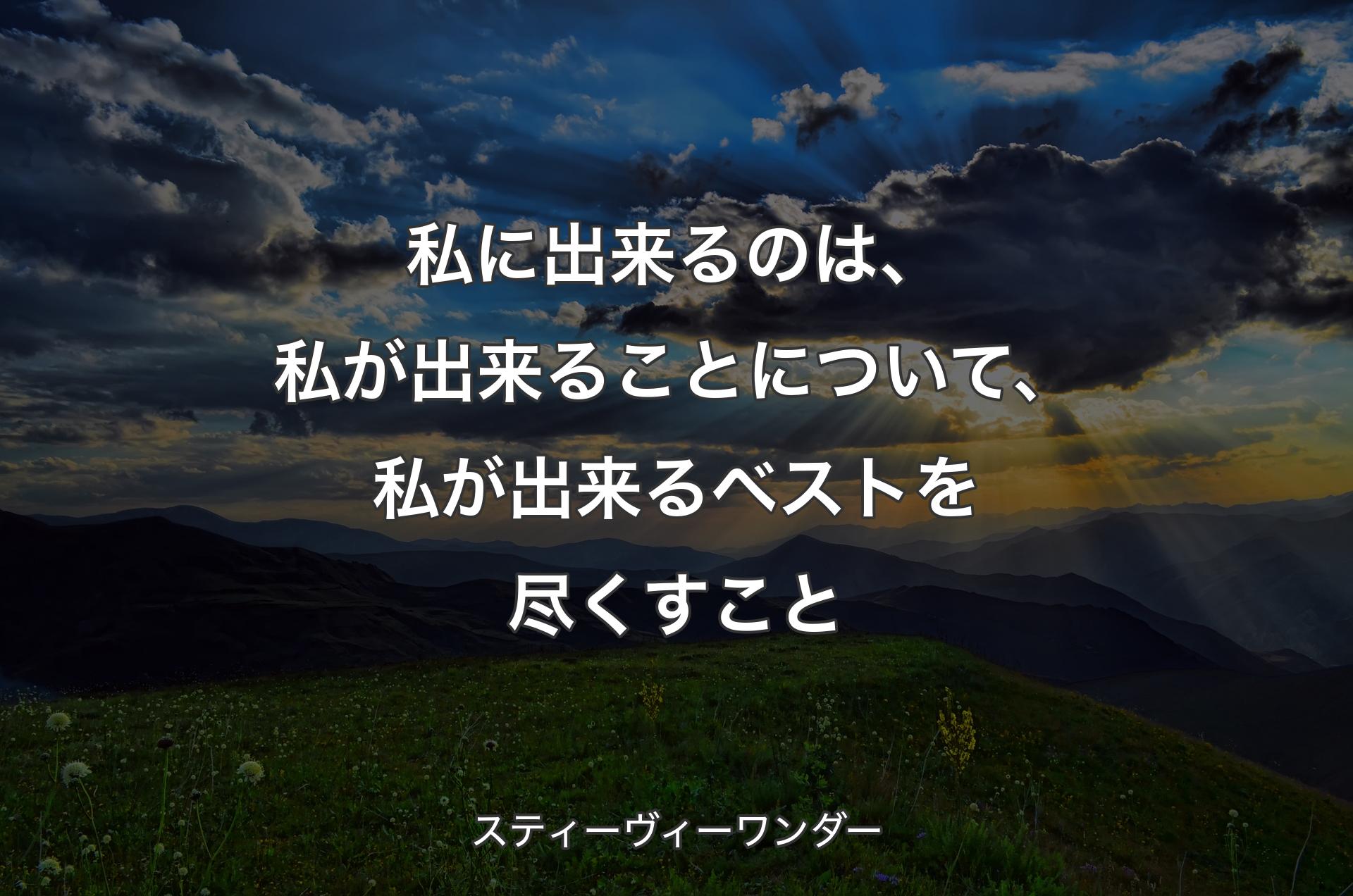 私に出来るのは、私が出来ることについて、私が出来るベストを尽くすこと - スティーヴィーワンダー