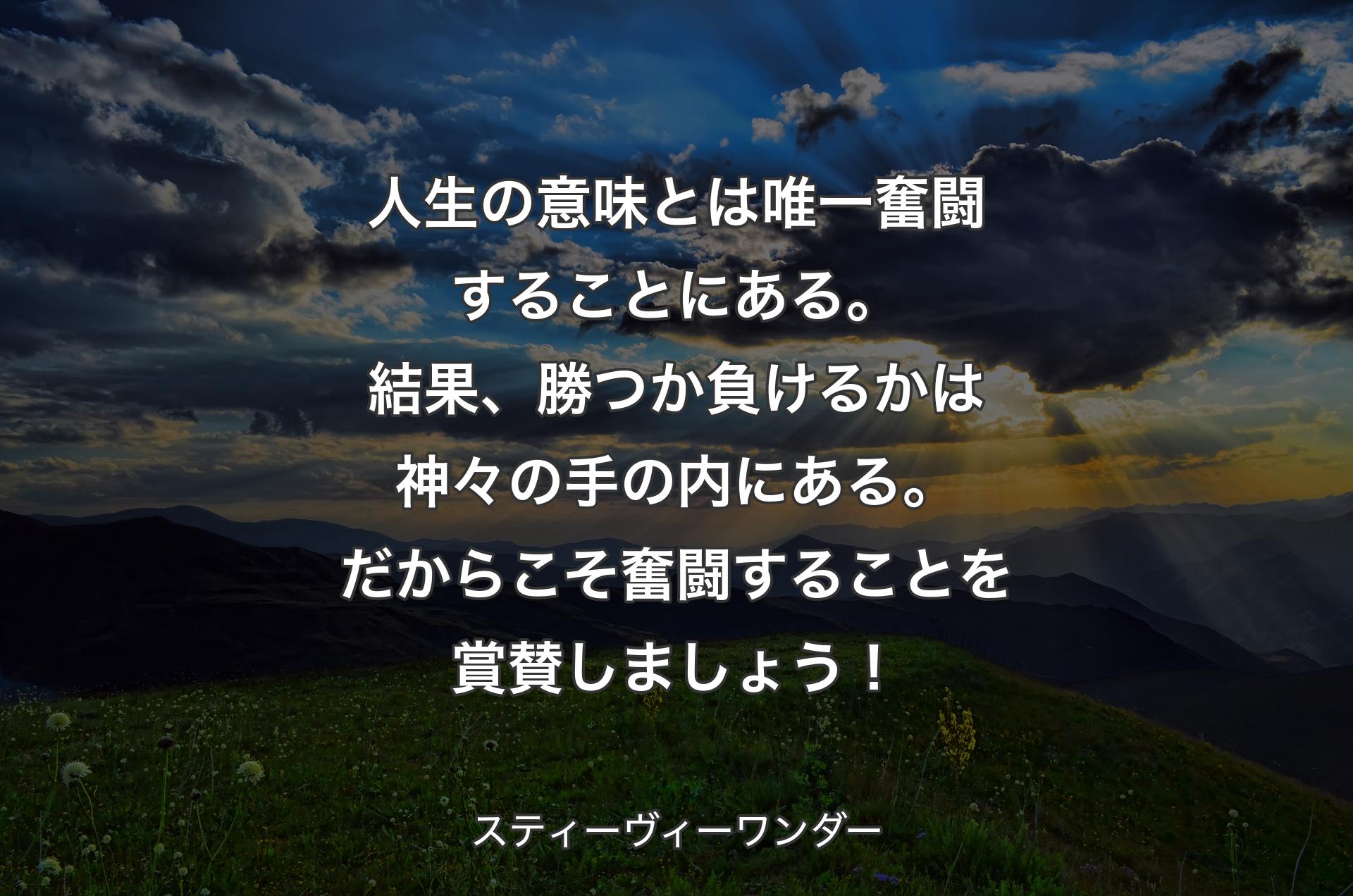 人生の意味とは唯一奮闘することにある。結果、勝つか負けるかは神々の手の内にある。だからこそ奮闘することを賞賛しましょう！ - スティーヴィーワンダー