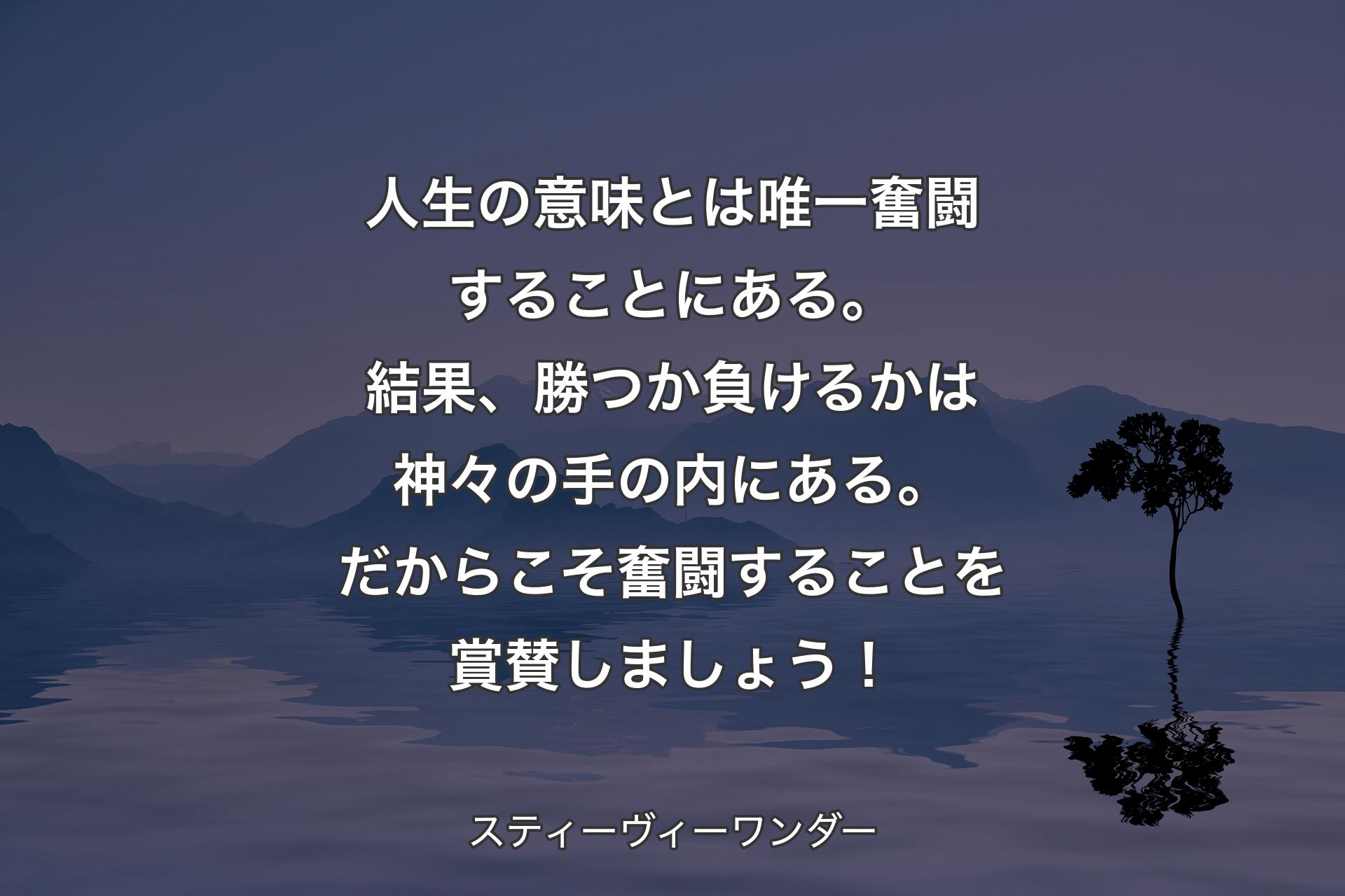 【背景4】人生の意味とは唯一奮闘することにある。結果、勝つか負けるかは神々の手の内にある。だからこそ奮闘することを賞賛しましょう！ - スティーヴィーワンダー