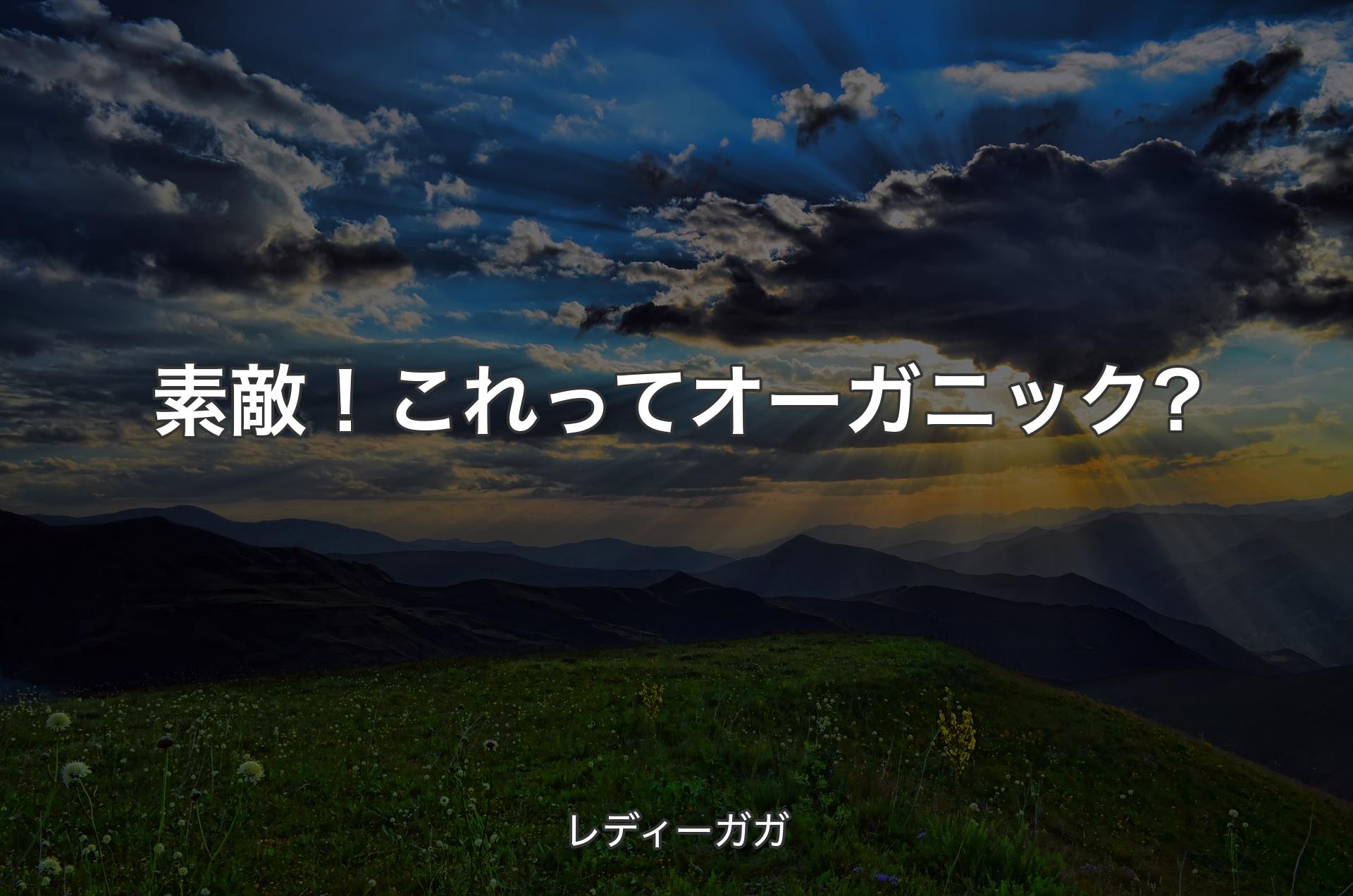 素敵！これってオーガニック? - レディーガガ