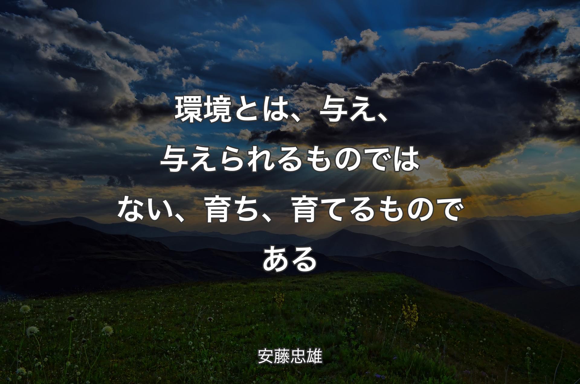 環境とは、与え、与えられるものではない、育ち、育てるものである - 安藤忠雄