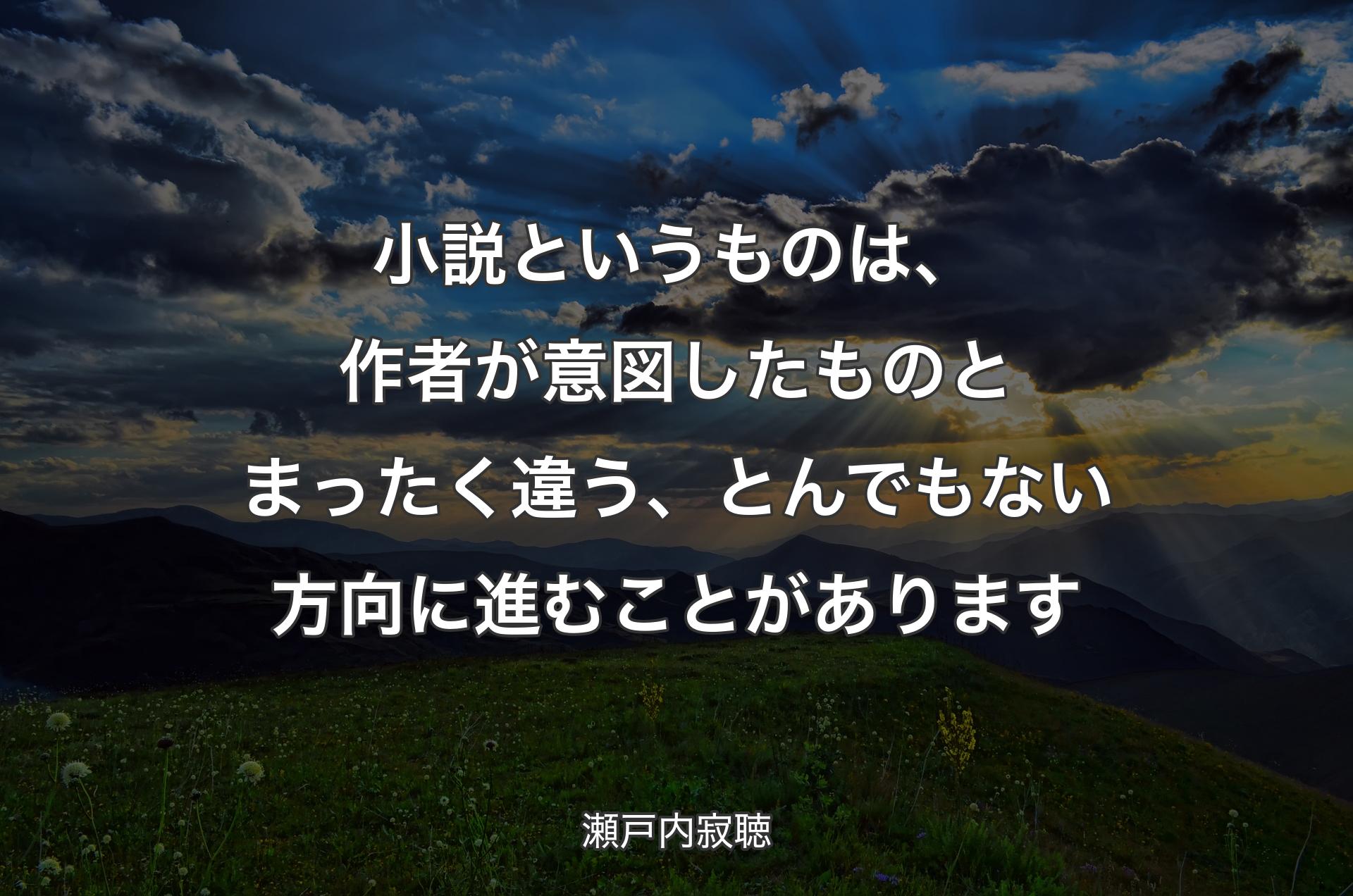 小説というものは、作者が意図したものとまったく違う、とんでもない方向に進むことがあります - 瀬戸内寂聴