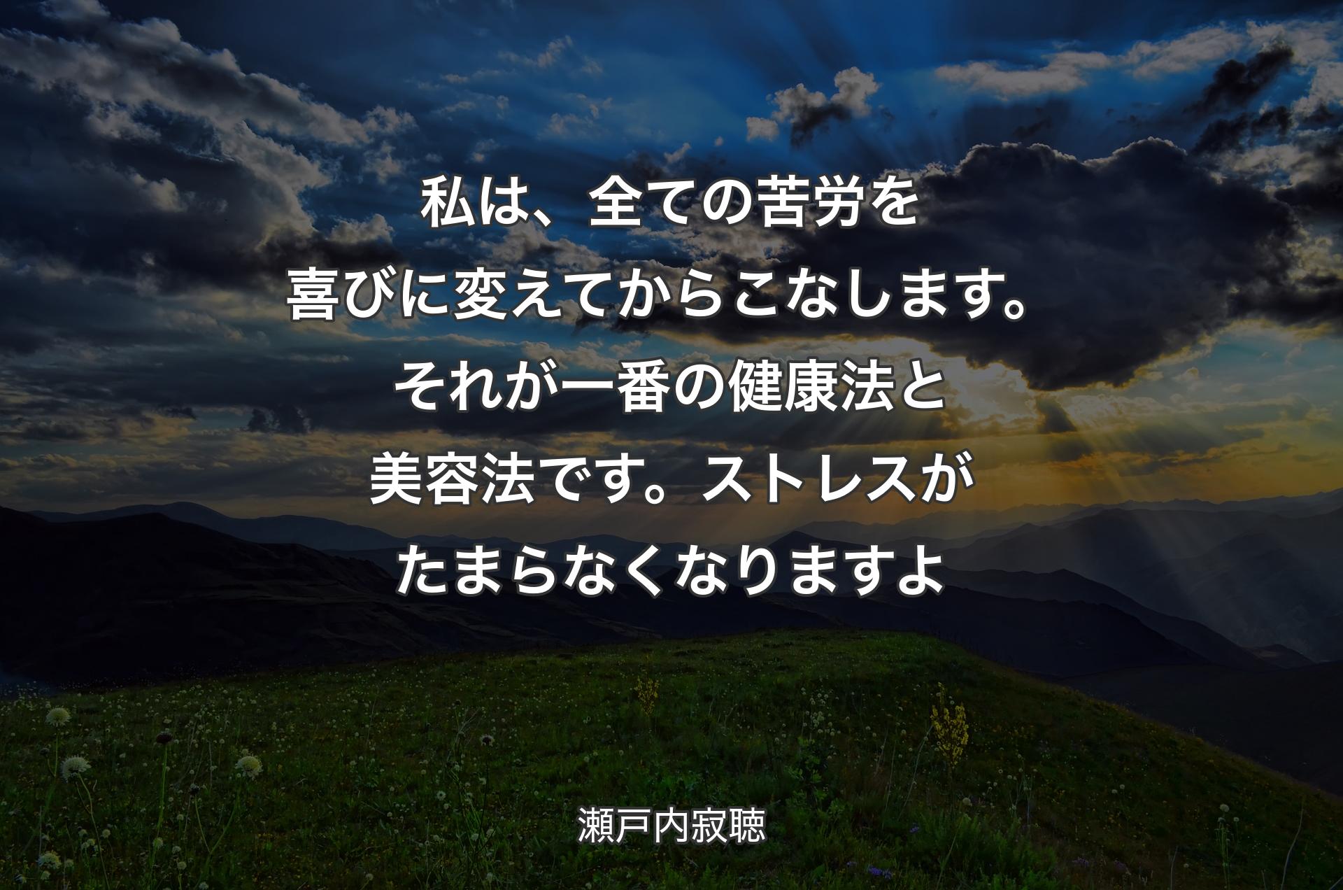 私は、全ての苦労を喜びに変えてからこなします。それが一番の健康法と美容法です。ストレスがたまらなくなりますよ - 瀬戸内寂聴