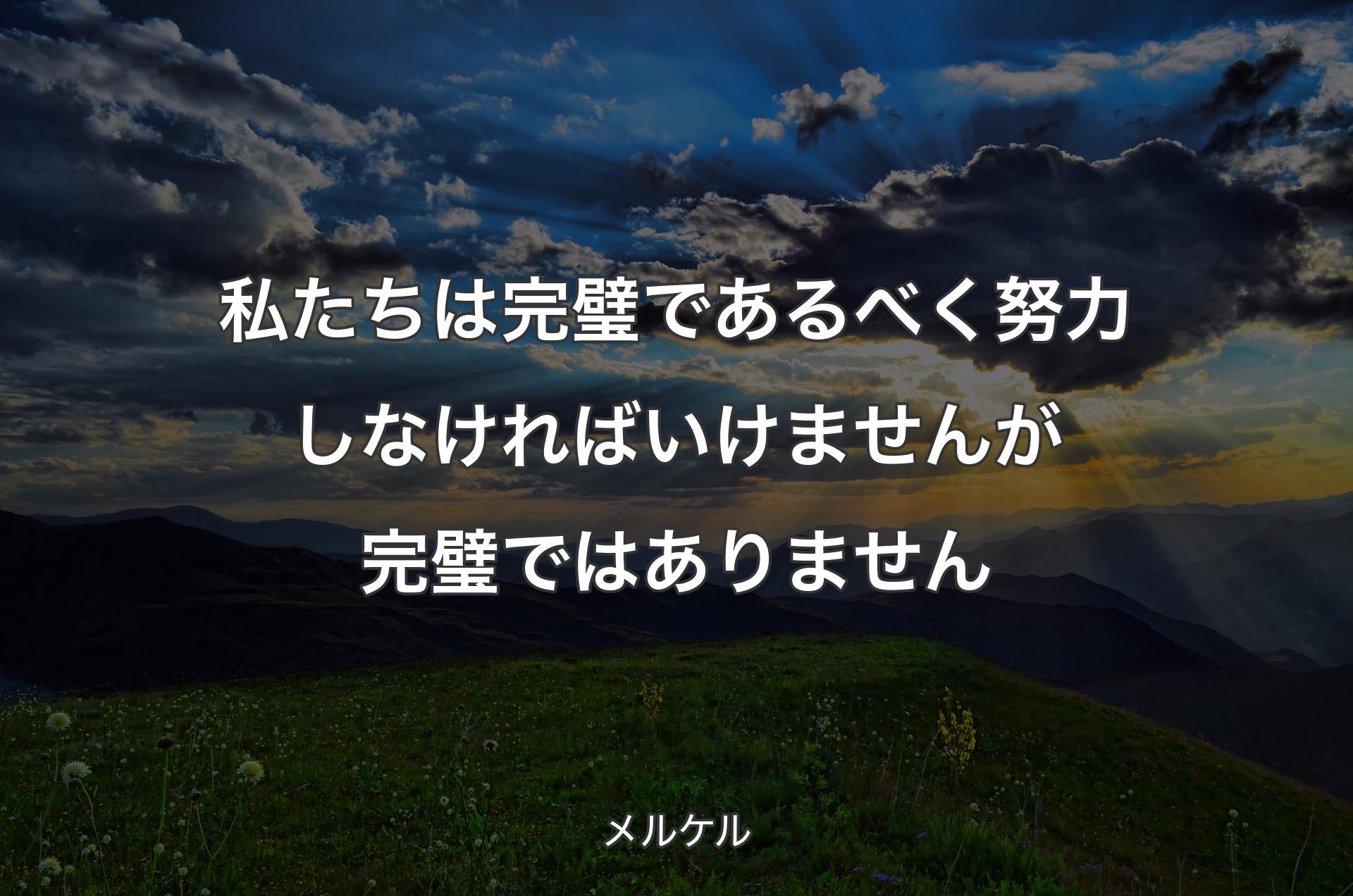 私たちは完璧であるべく努力しなければいけませんが完璧ではありません - メルケル