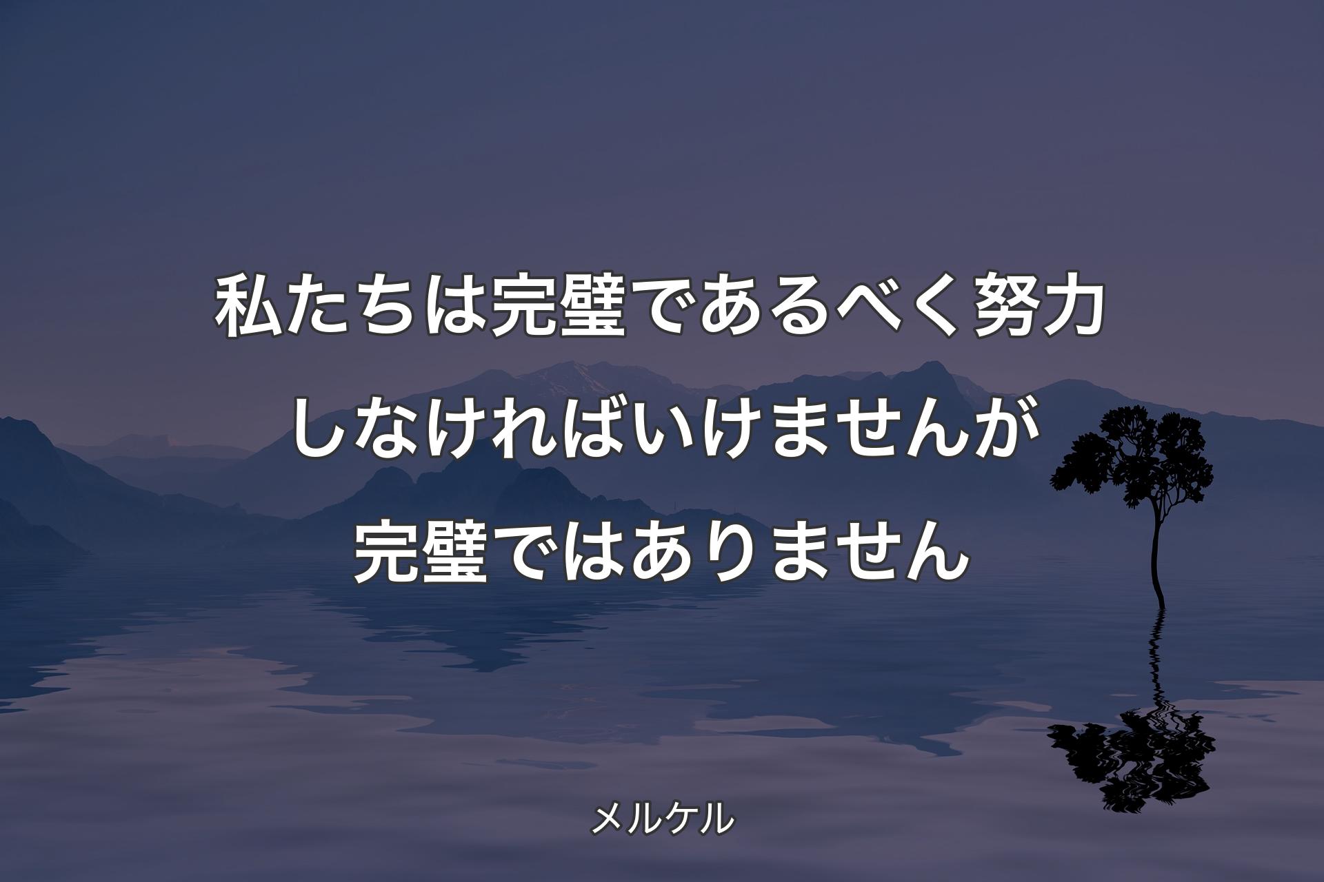 私たちは完璧であるべく努力しなければいけませんが完璧ではありません - メルケル