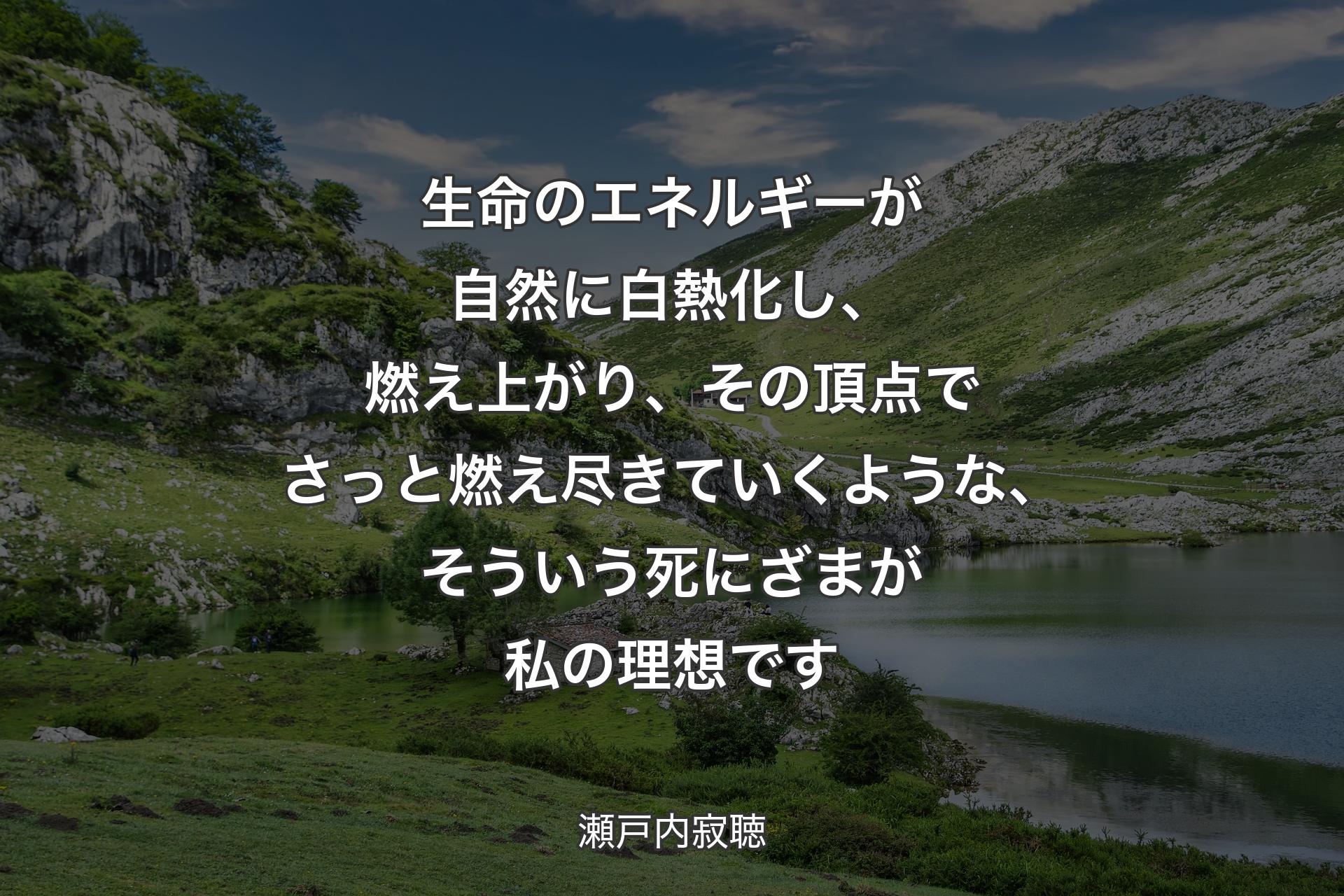 生命のエネルギーが自然に白熱化し、燃え上がり、その頂点でさっと燃え尽きていくような、そういう死にざまが私の理想です - 瀬戸内寂聴