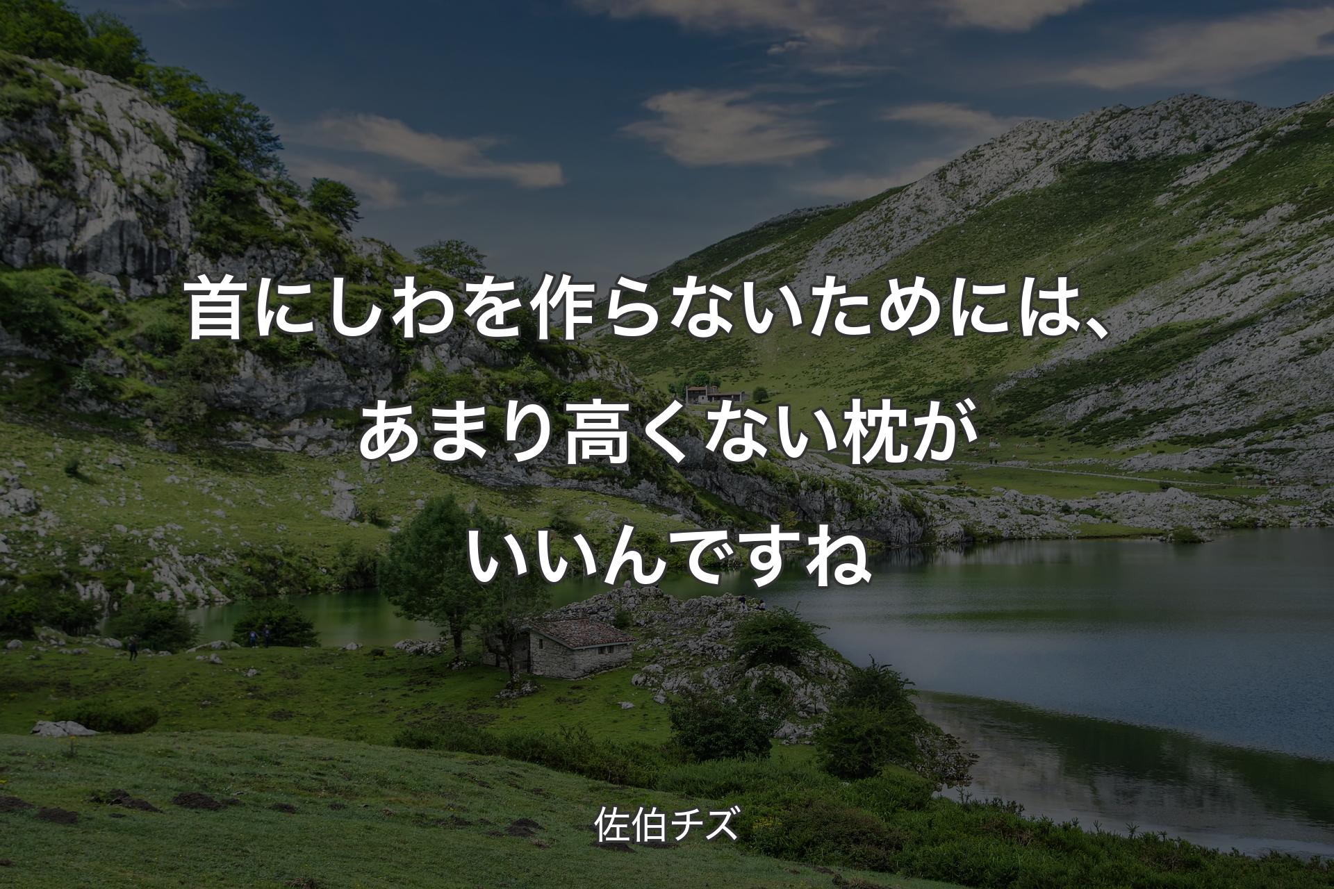 【背景1】首にしわを作らないためには、あまり高くない枕がいいんですね - 佐伯チズ