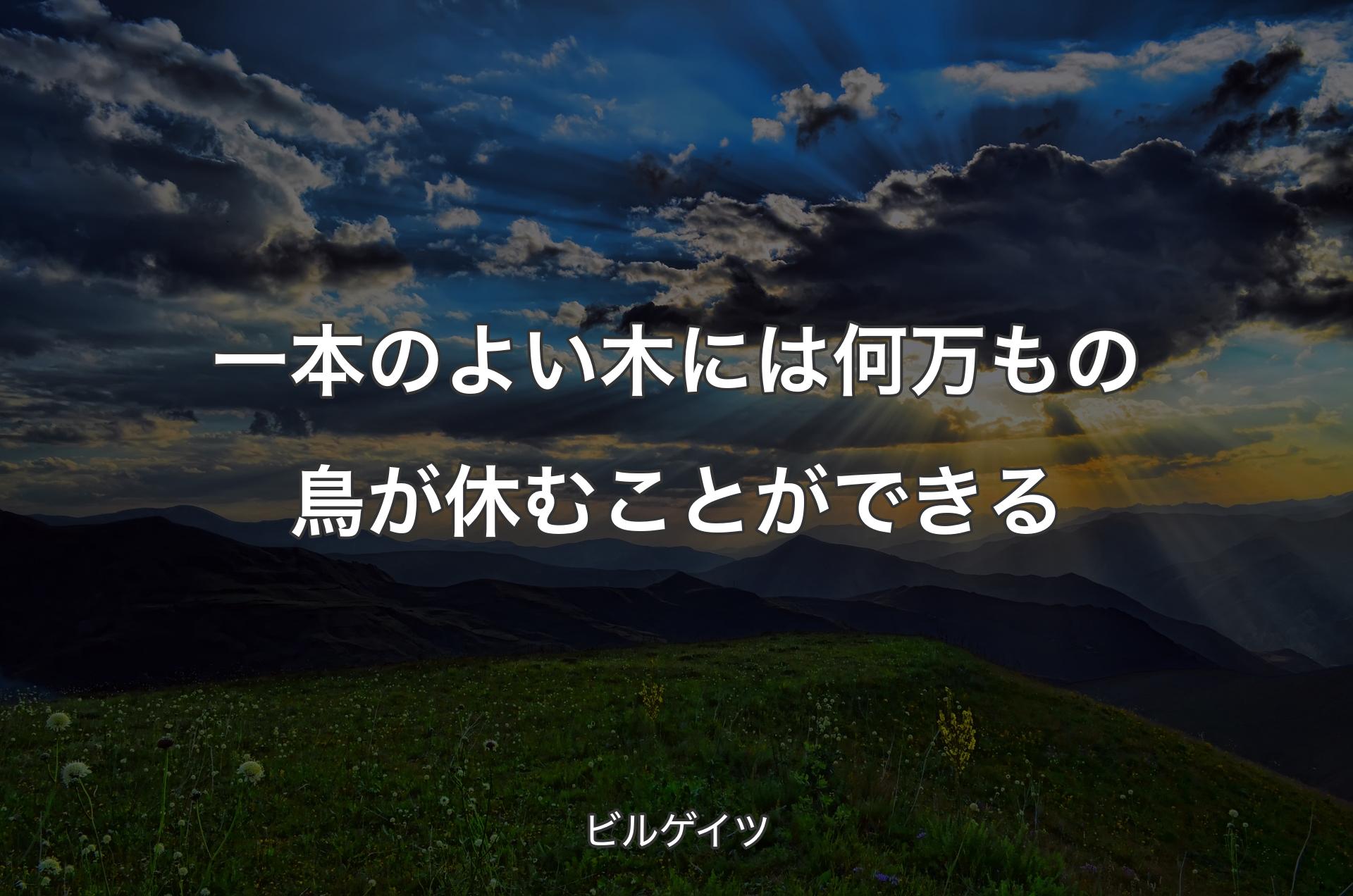 一本のよい木には何万もの鳥が休むことができる - ビルゲイツ