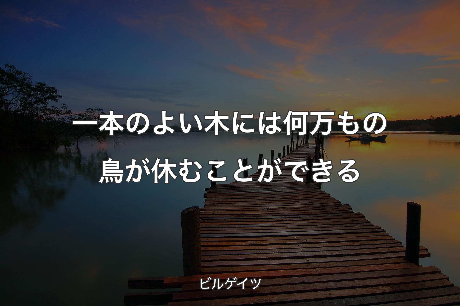 一本のよい木には何万もの鳥が休むことができる - ビルゲイツ