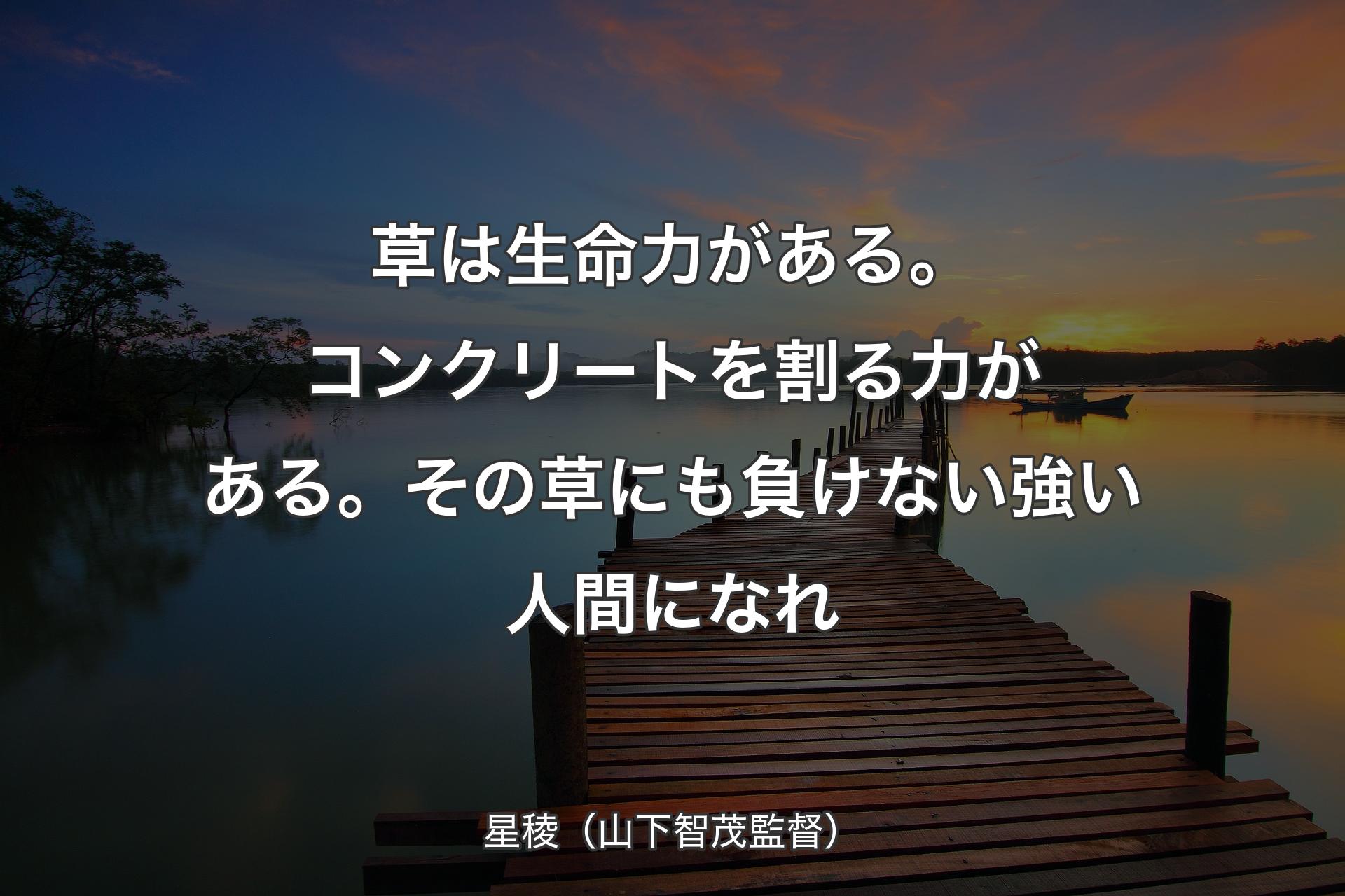 草は生命力がある。コンクリートを割る力がある。その草にも負けない強い人間になれ - 星稜（山下智茂監督）