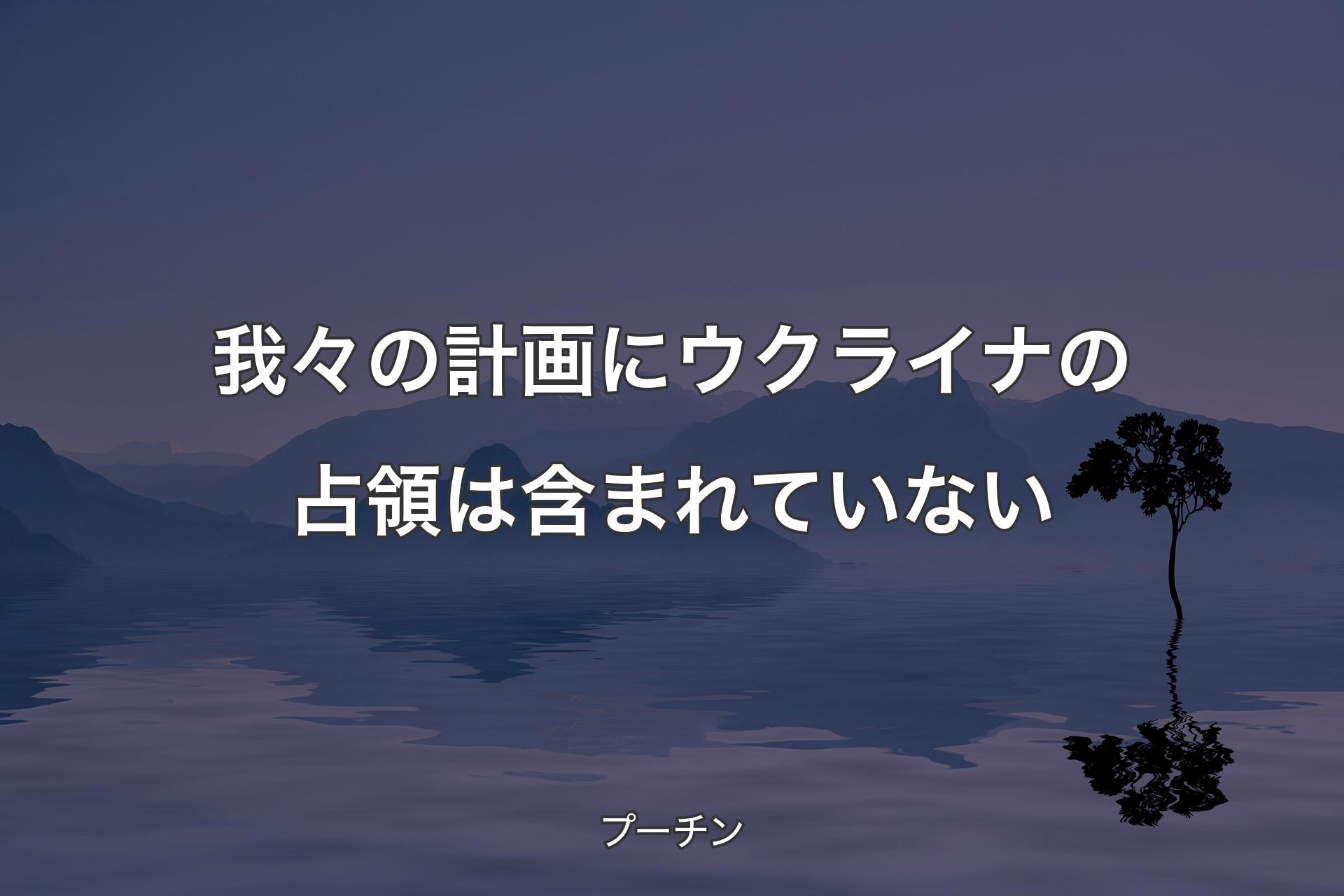 我々の計画にウクライナの占領は含まれていない - プーチン