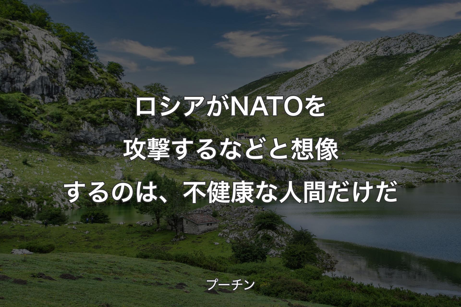 【背景1】ロシアがNATOを攻撃するなどと想像するのは、不健康な人間だけだ - プーチン