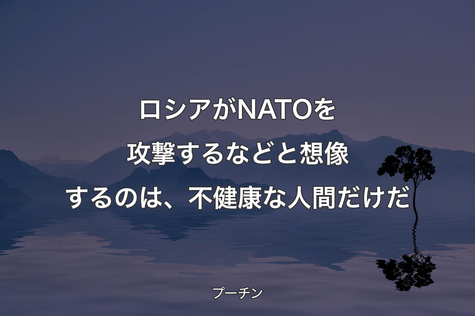 【背景4】ロシアがNATOを攻撃するなどと想像するのは、不健康な人間だけだ - プーチン