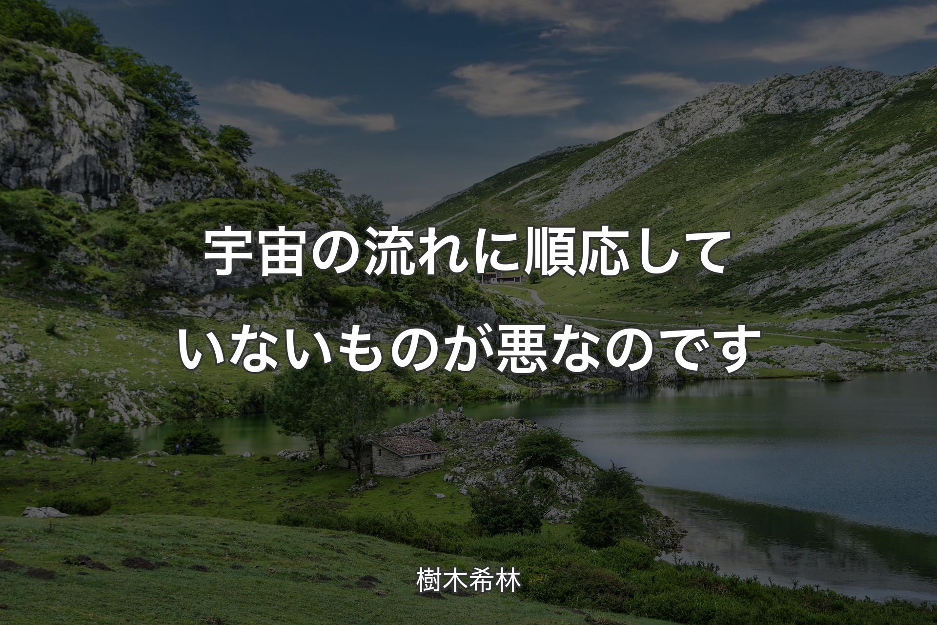 【背景1】宇宙の流れに順応していないものが悪なのです - 樹木希林