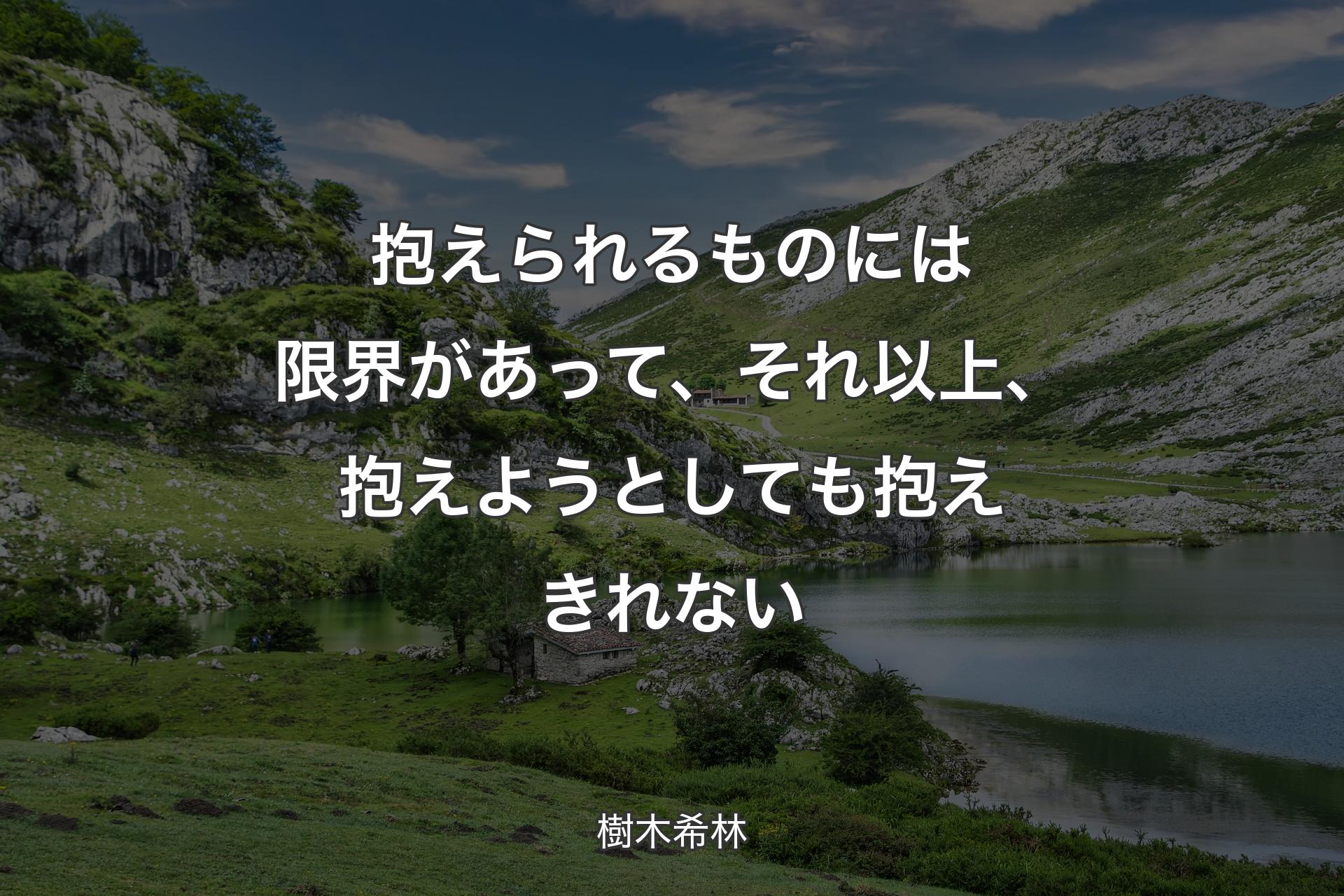 【背景1】抱えられるものには限界があって、それ以上、抱えようとしても抱えきれない - 樹木希林