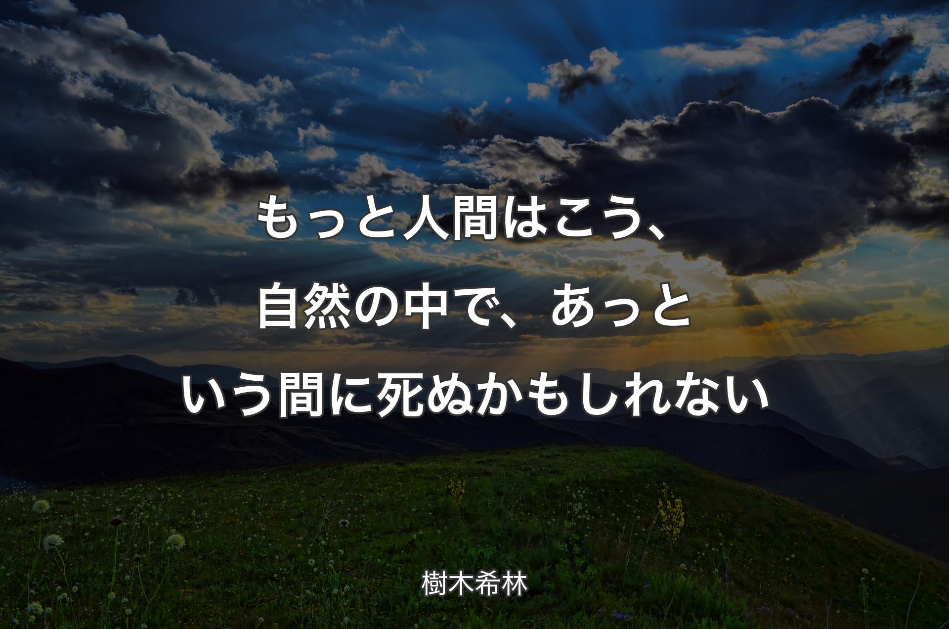 もっと人間はこう、自然の中で、あっという間に死ぬかもしれない - 樹木希林