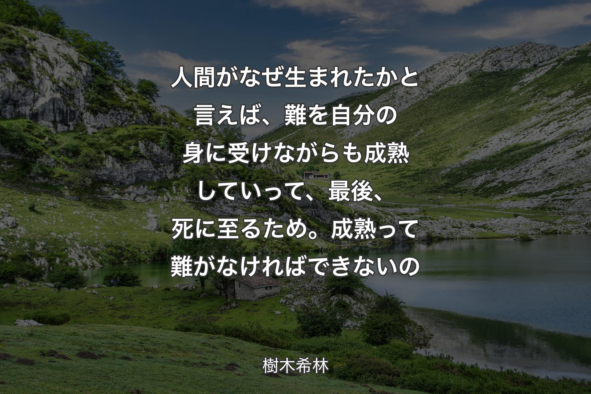 【背景1】人間がなぜ生まれたかと言えば、難を自分の身に受けながらも成熟していって、最後、死に至るため。成熟って難がなければできないの - 樹木希林