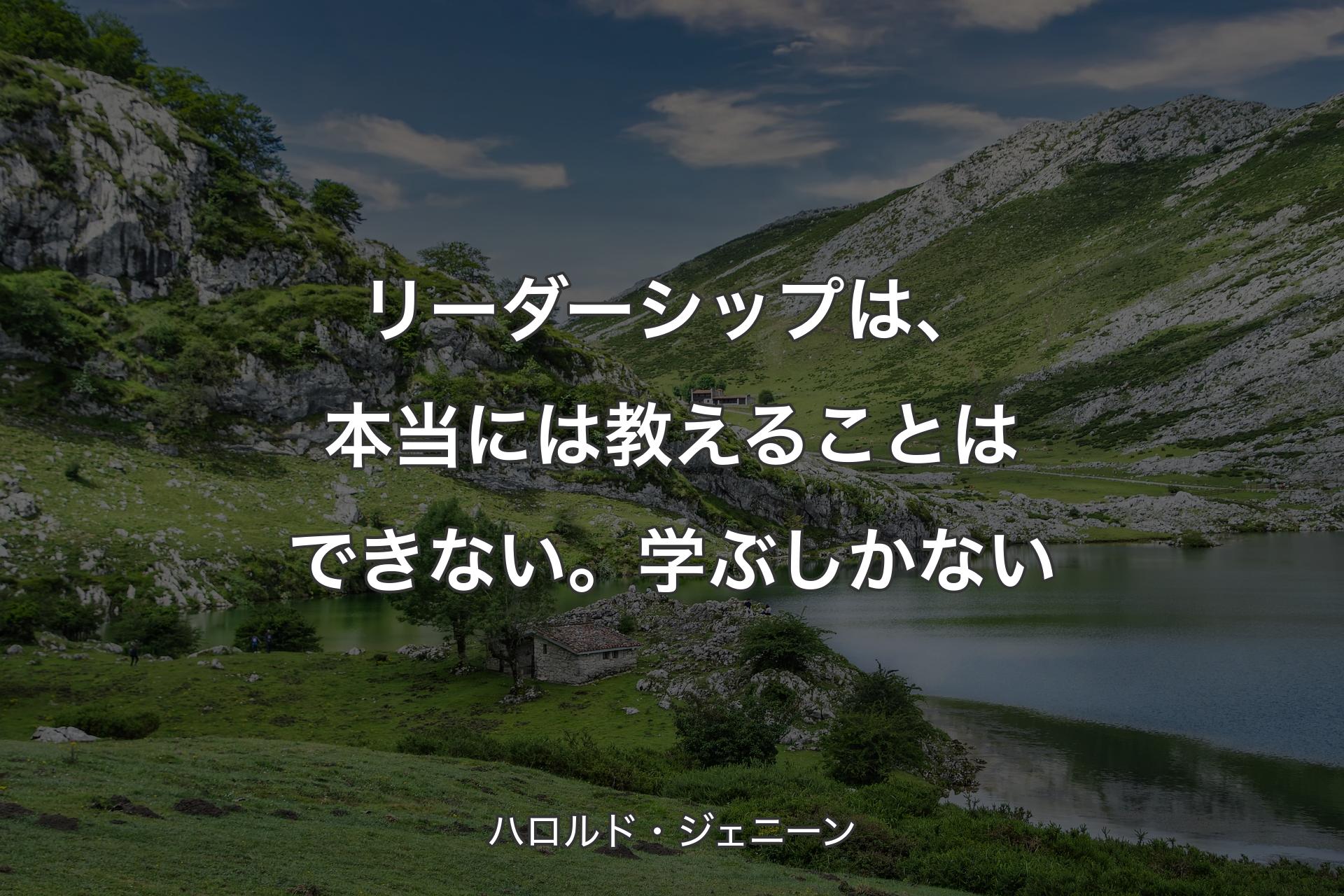 リーダーシップは、本当には教えることはできない。学ぶしかない - ハロルド・ジェニーン