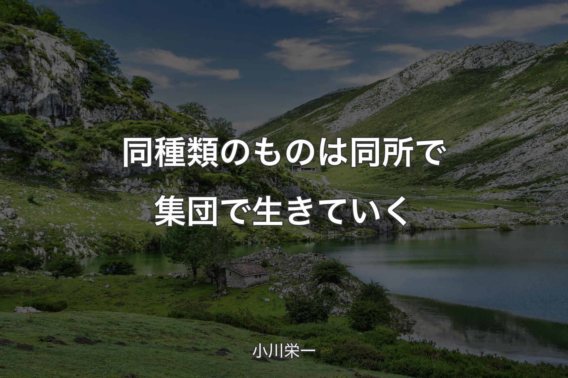 【背景1】同種類のものは同所で集団で生きていく - 小川栄一