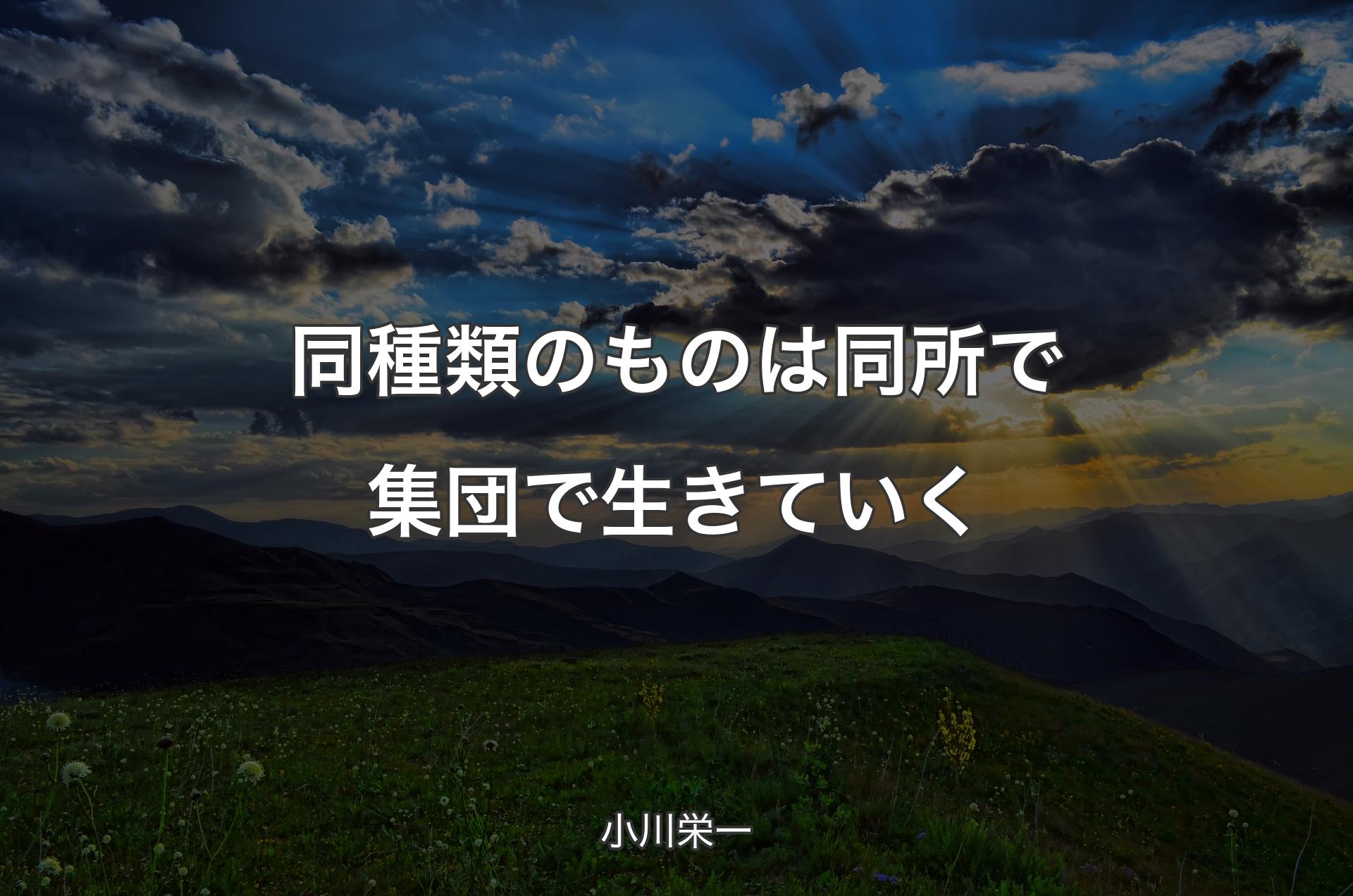 同種類のものは同所で集団で生きていく - 小川栄一