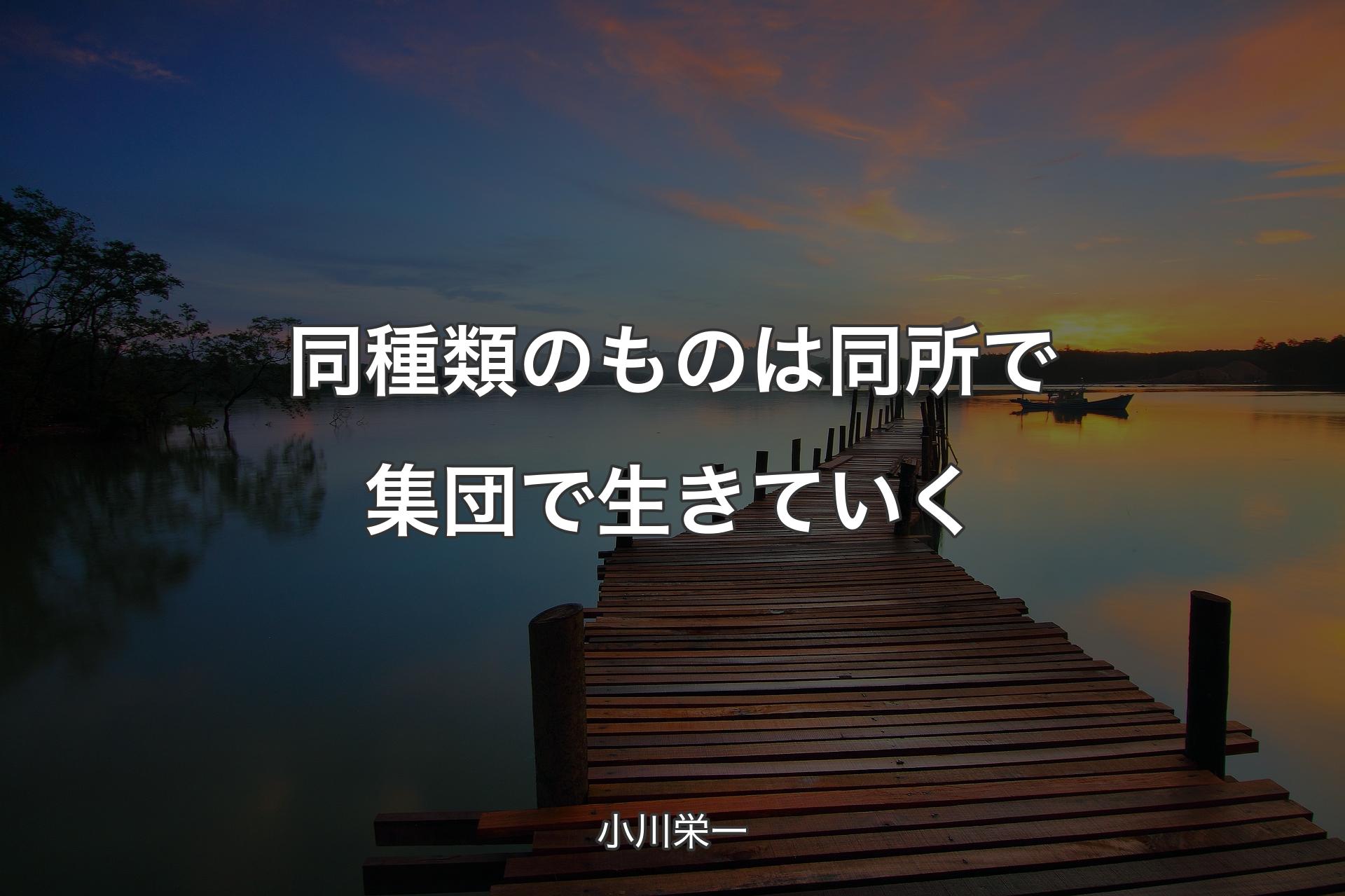 【背景3】同種類のものは同所で集団で生きていく - 小川栄一