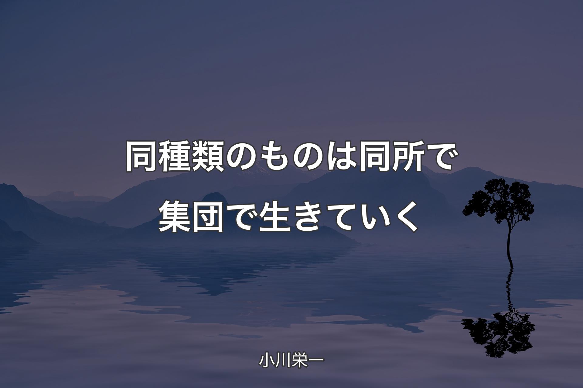 【背景4】同種類のものは同所で集団で生きていく - 小川栄一