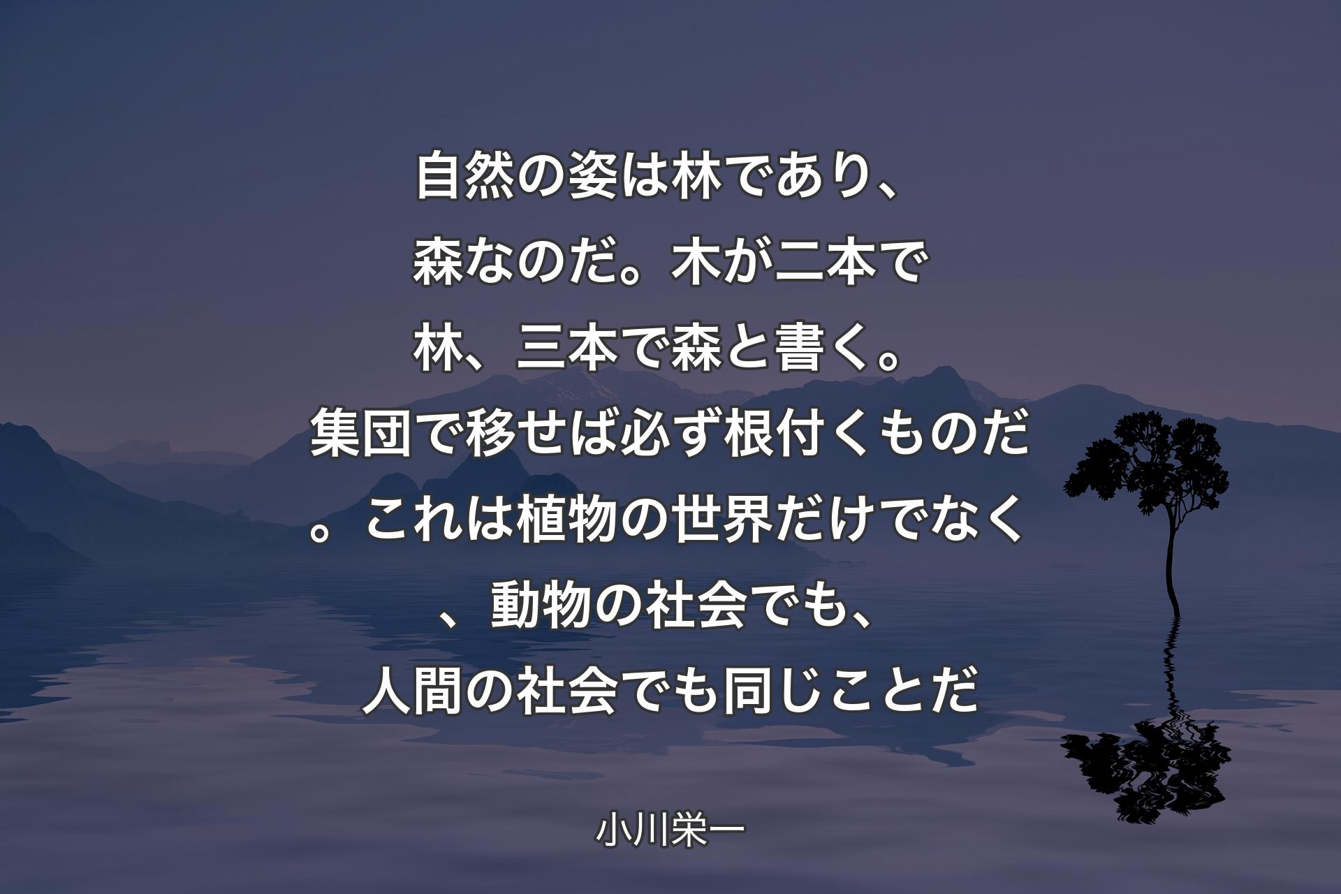 自然の姿は林であり、森なのだ。木が二本で林、三本で森と書く。集団で移せば必ず根付くものだ。これは植物の世界だけでなく、動物の社会でも、人間の社会でも同じことだ - 小川栄一