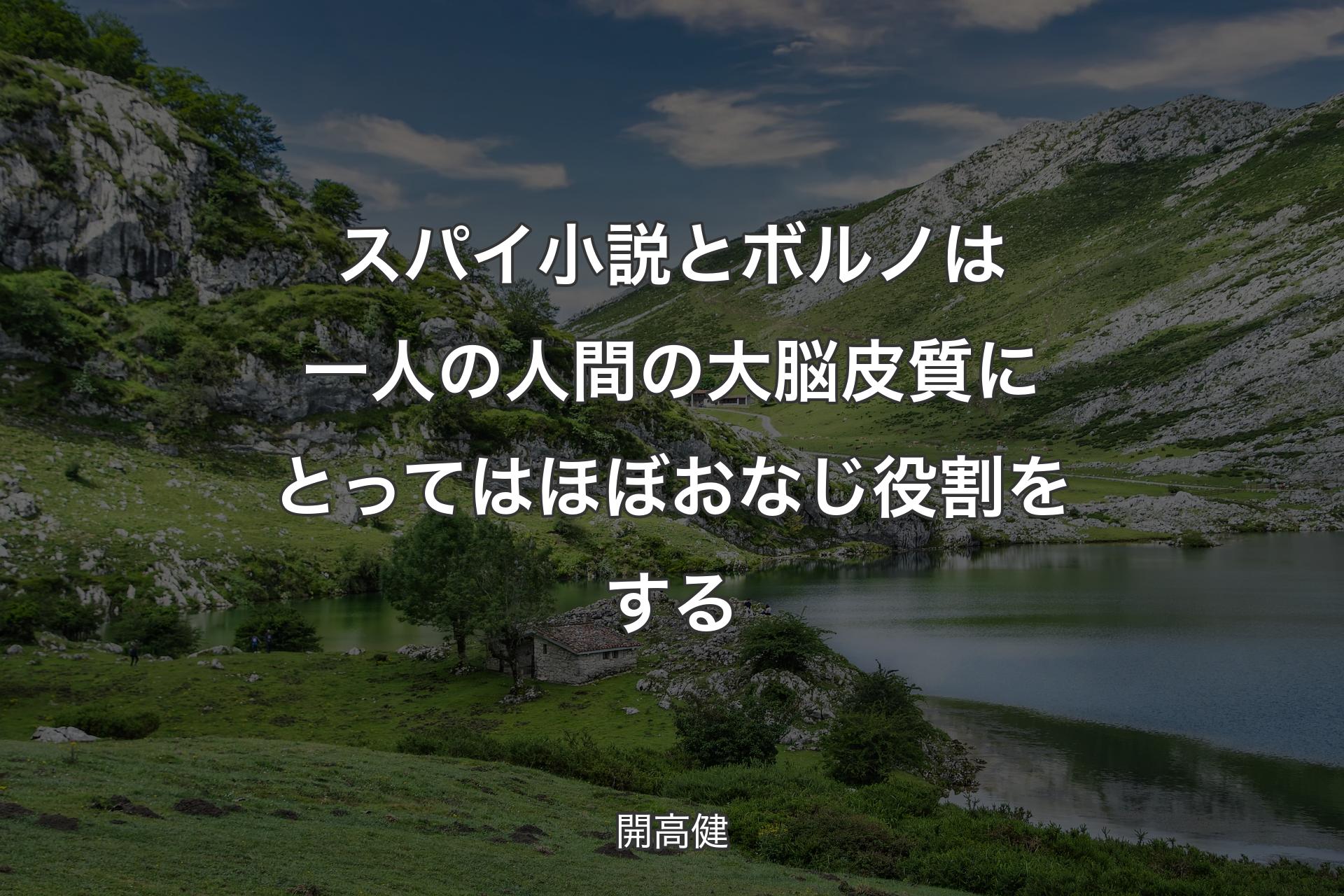 【背景1】スパイ小説とボルノは一人の人間の大脳皮質にとってはほぼおなじ役割をする - 開高健