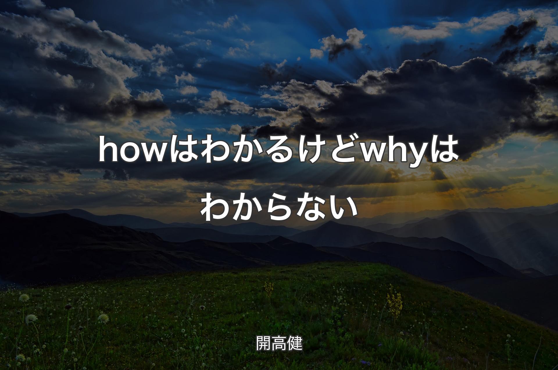 howはわかるけどwhyはわからない - 開高健