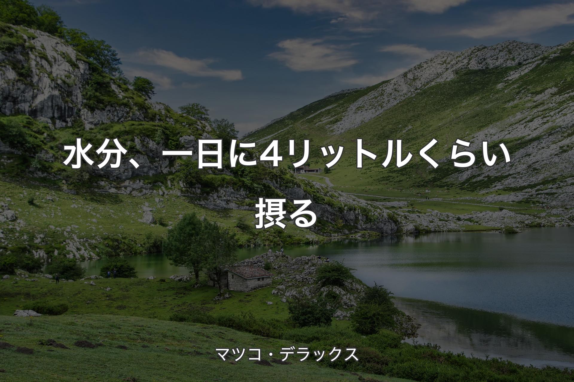 【背景1】水分、一日に4リットルくらい摂る - マツコ・デラックス