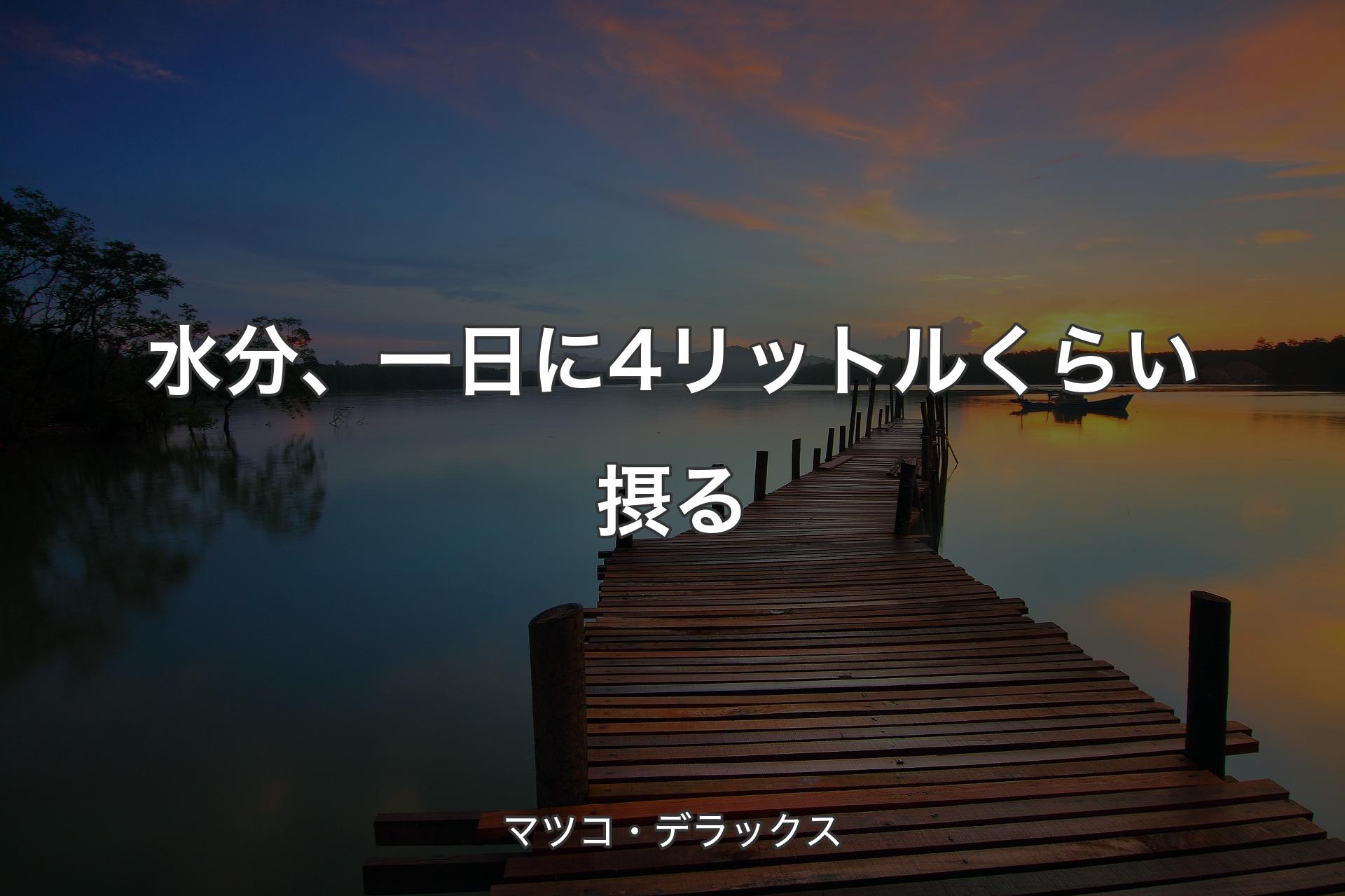 【背景3】水分、一日に4リットルくらい摂る - マツコ・デラックス