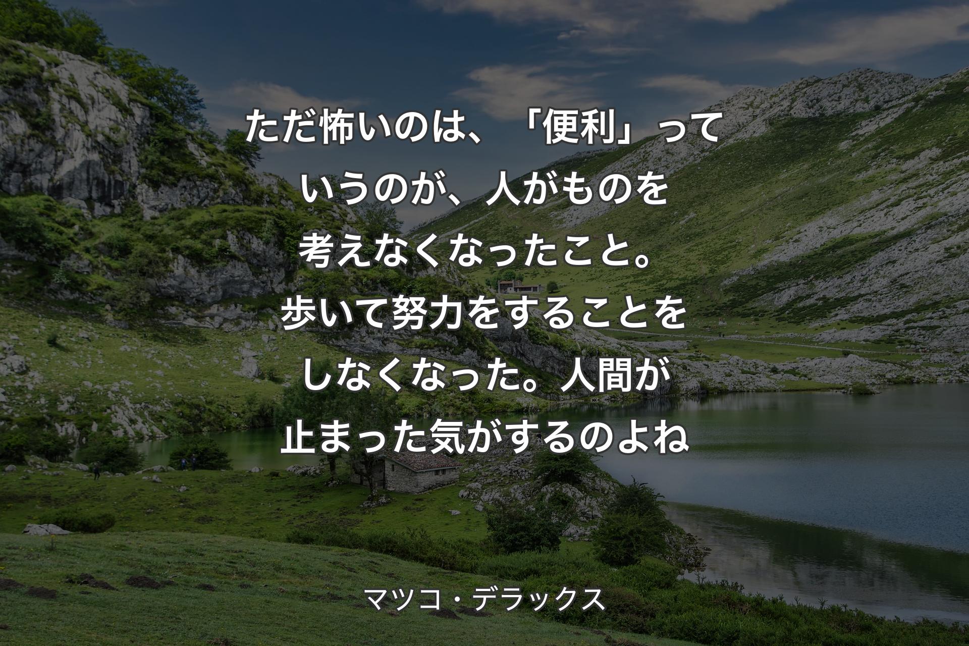 【背景1】ただ怖いのは、「便利」っていうのが、人がものを考えなくなったこと。歩いて努力をすることをしなくなった。人間が止まった気がするのよね - マツコ・デラックス