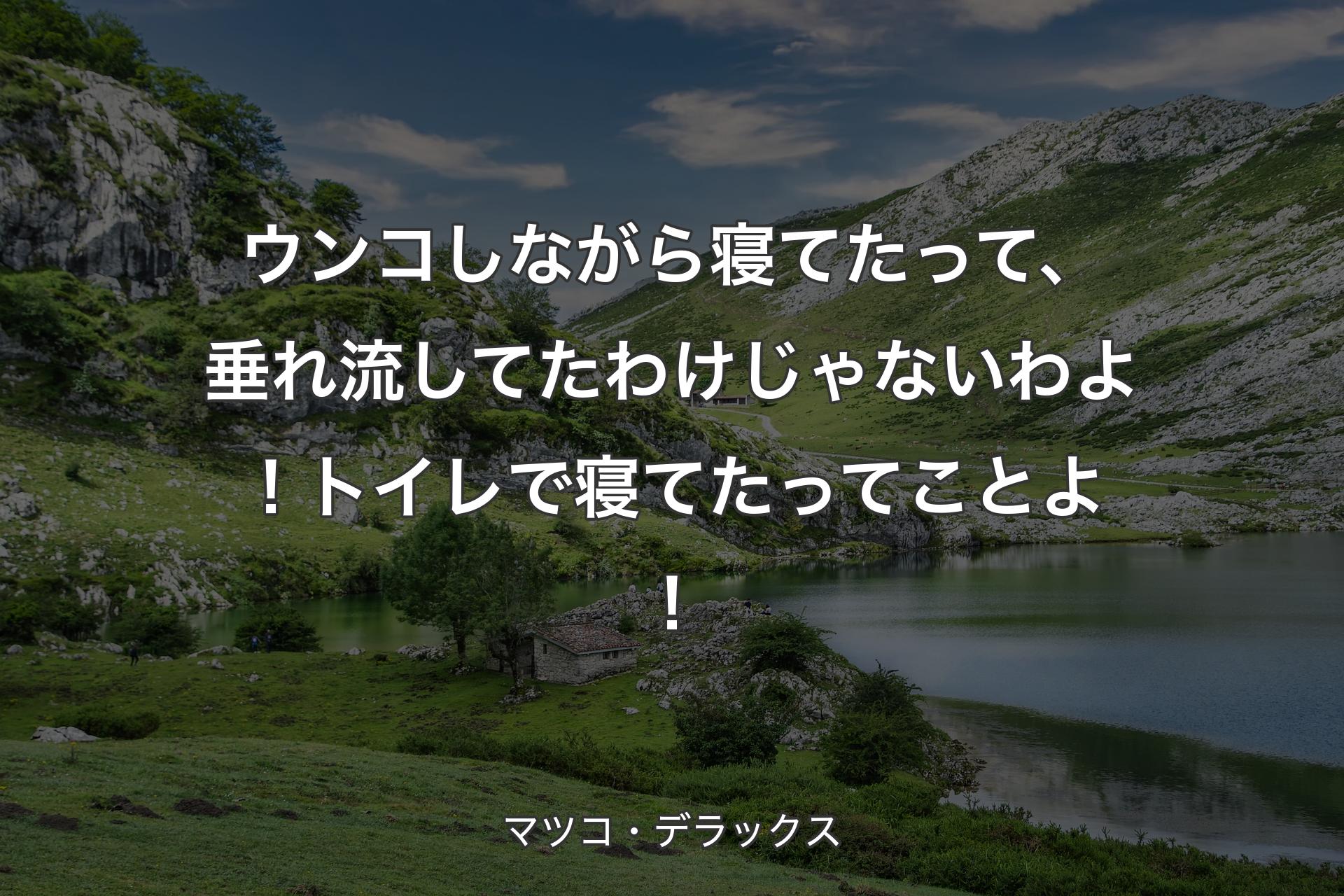 【背景1】ウンコしながら寝てたって、垂れ流してたわけじゃないわよ！トイレで寝てたってことよ！ - マツコ・デラックス