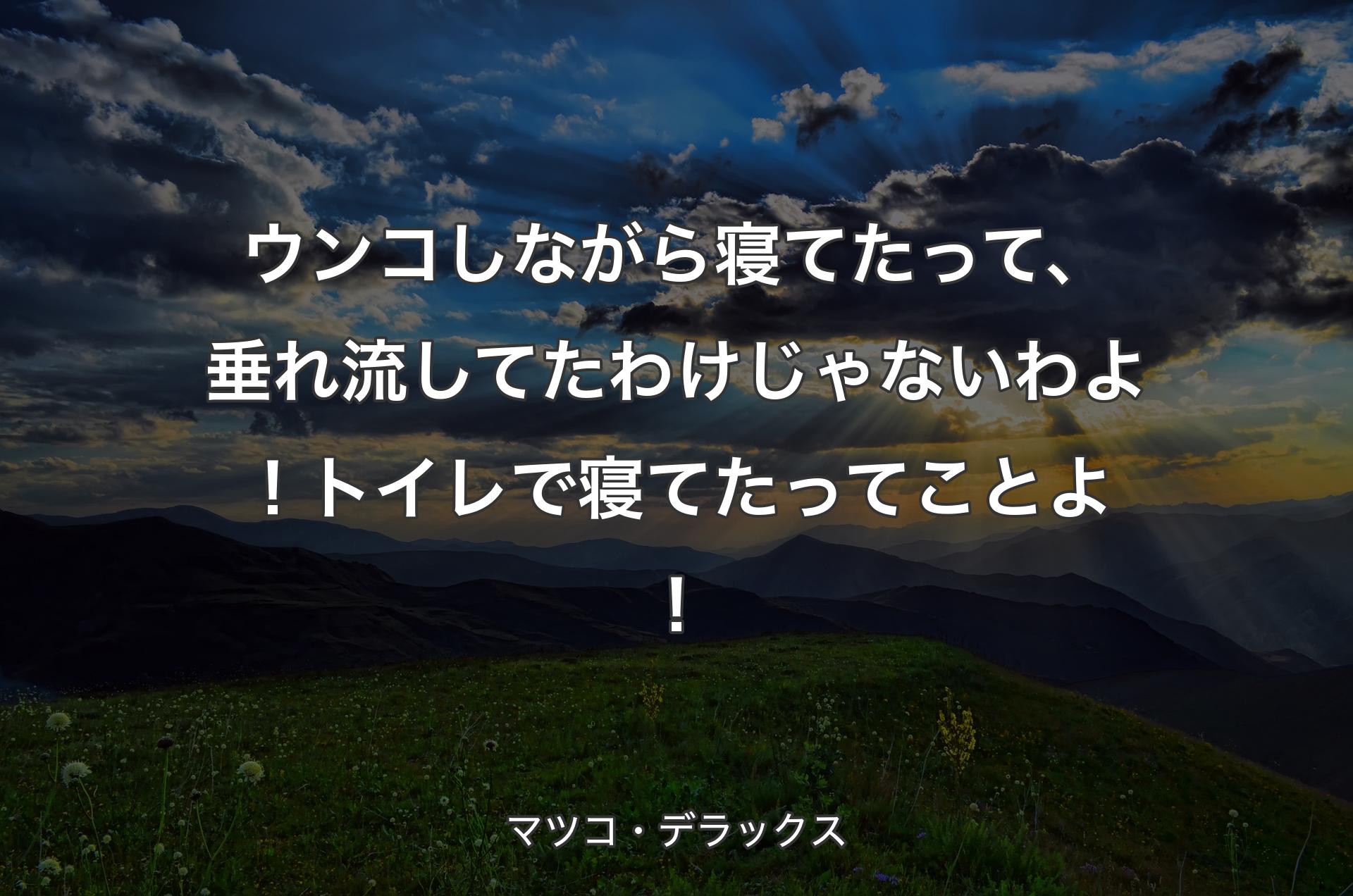 ウンコしながら寝てたって、垂れ流してたわけじゃないわよ！トイレで寝てたってことよ！ - マツコ・デラックス