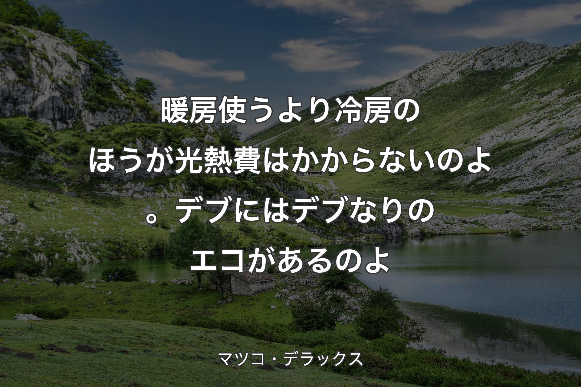 【背景1】暖房使うより冷房のほうが光熱費はかからないのよ。デブにはデブなりのエコがあるのよ - マツコ・デラックス