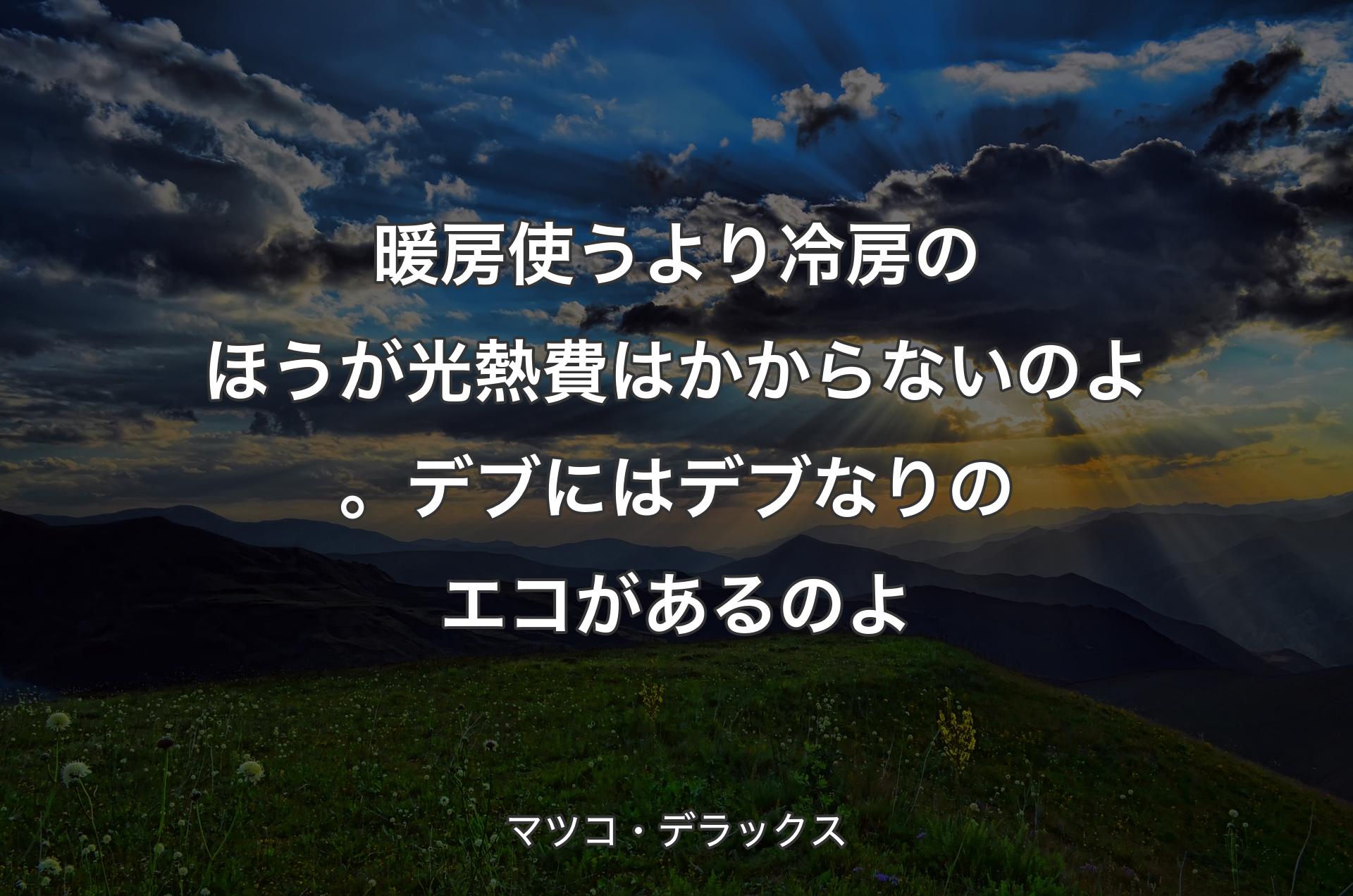 暖房使うより冷房のほうが光熱費はかからないのよ。デブにはデブなりのエコがあるのよ - マツコ・デラックス