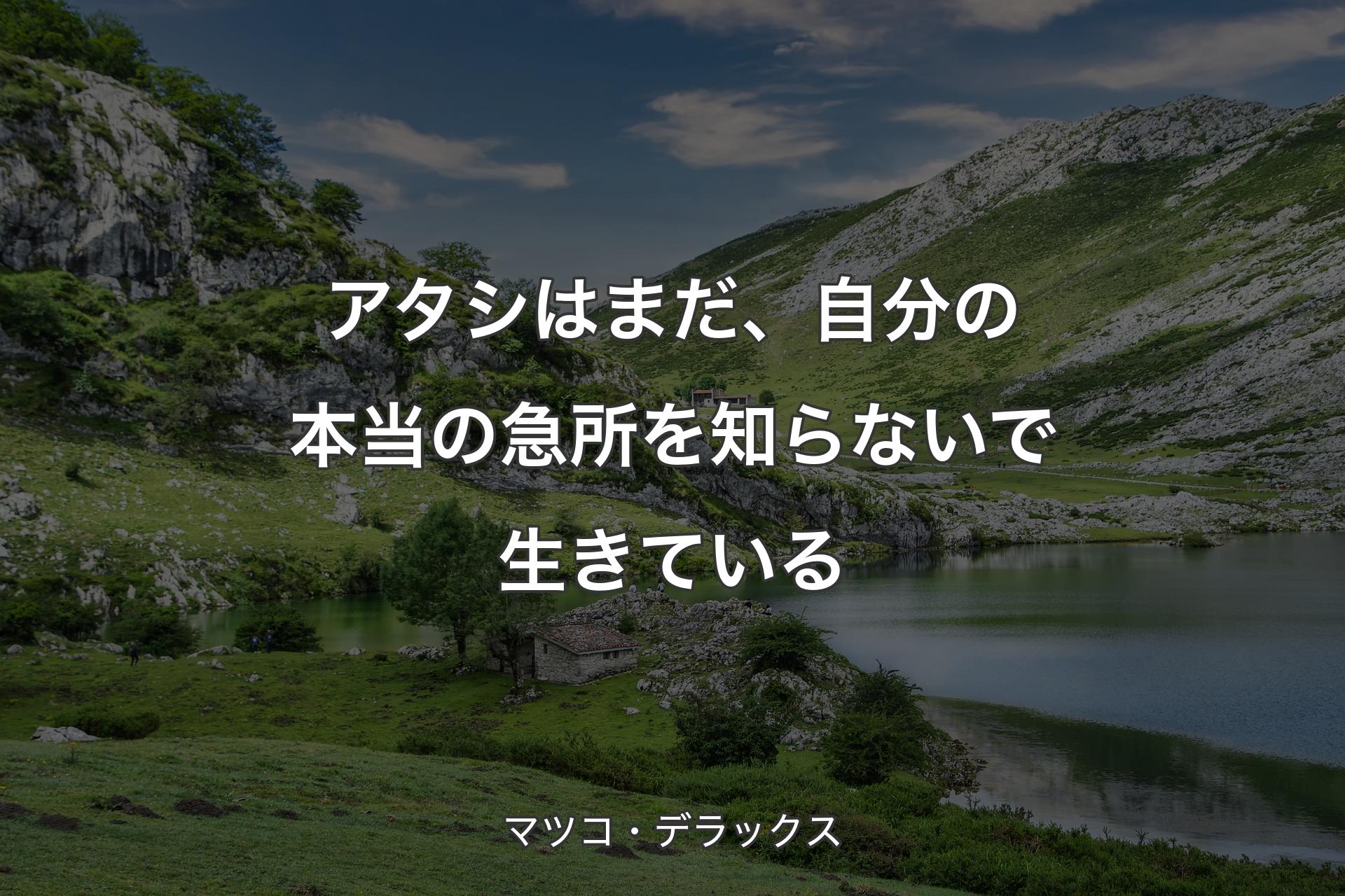 【背景1】アタシはまだ、自分の本当の急所を知らないで生きている - マツコ・デラックス