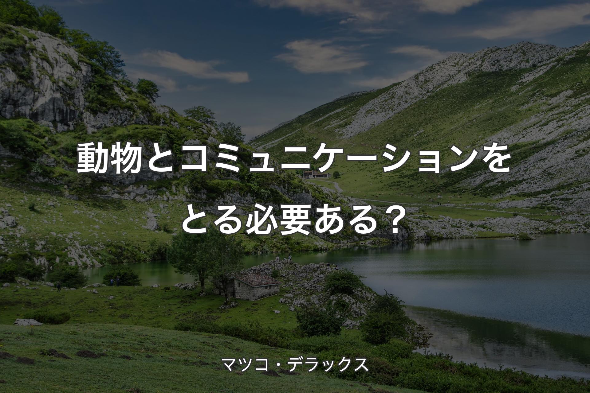 【背景1】動物とコミュニケーションをとる必要ある？ - マツコ・デラックス