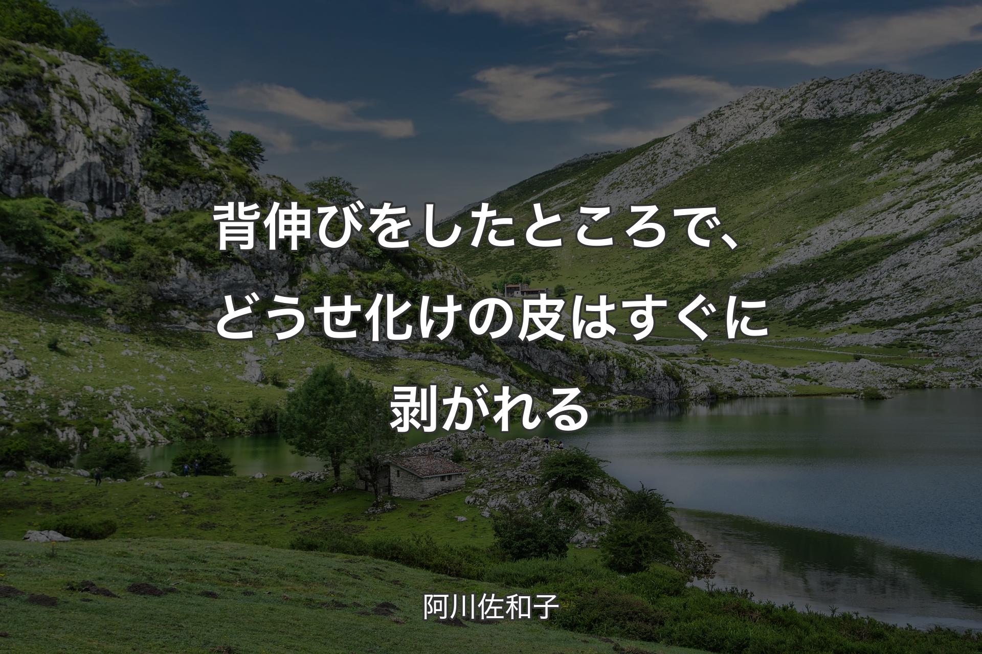 【背景1】背伸びをしたところで、どうせ化けの皮はすぐに剥がれる - 阿川佐和子