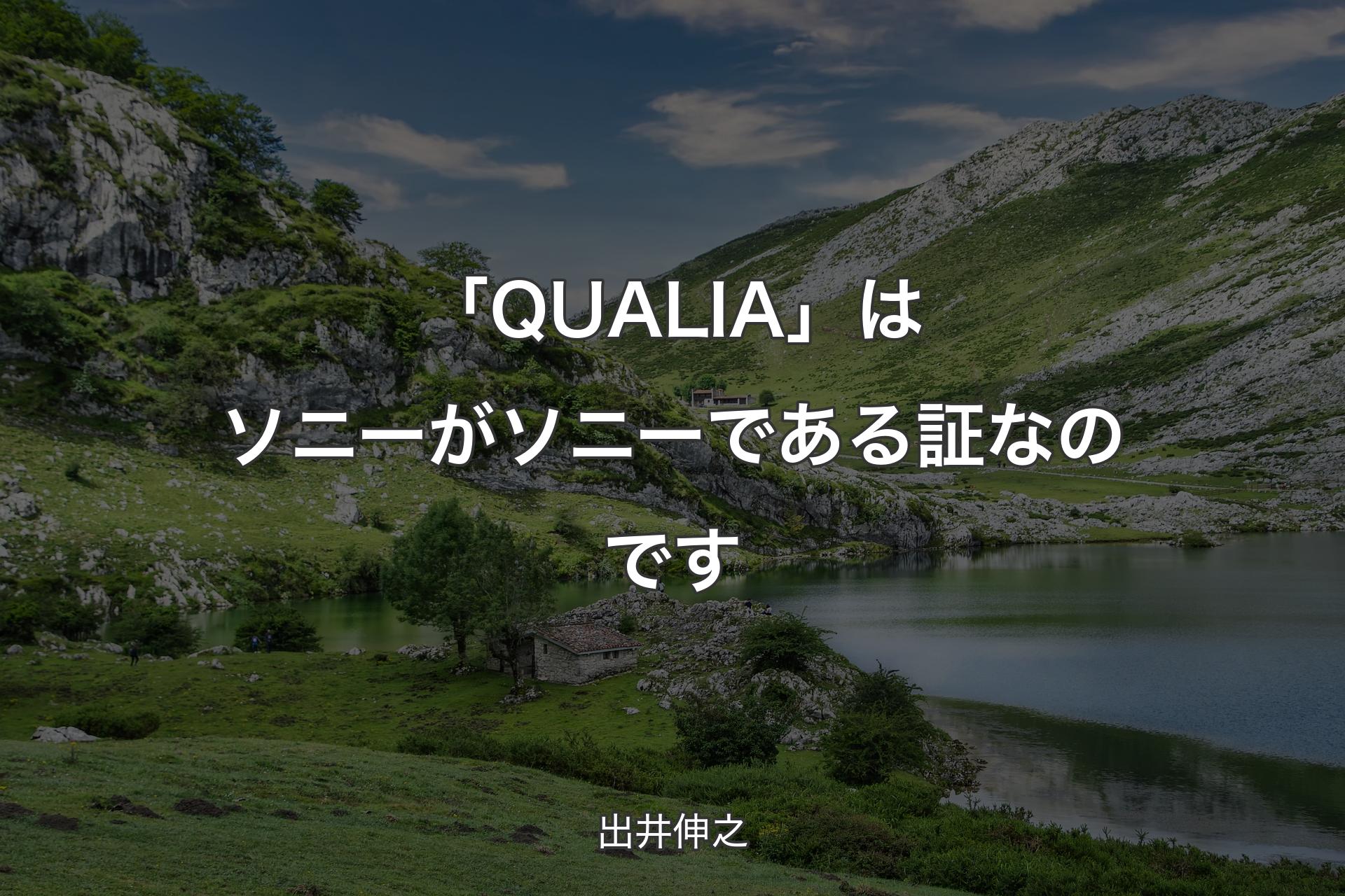 【背景1】「QUALIA」はソニーがソニーである証なのです - 出井伸之