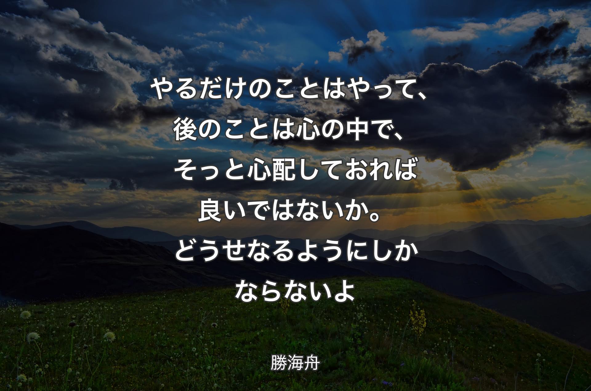 やるだけのことはやって、後のことは心の中で、そっと心配しておれば良いではないか。どうせなるようにしかならないよ - 勝海舟