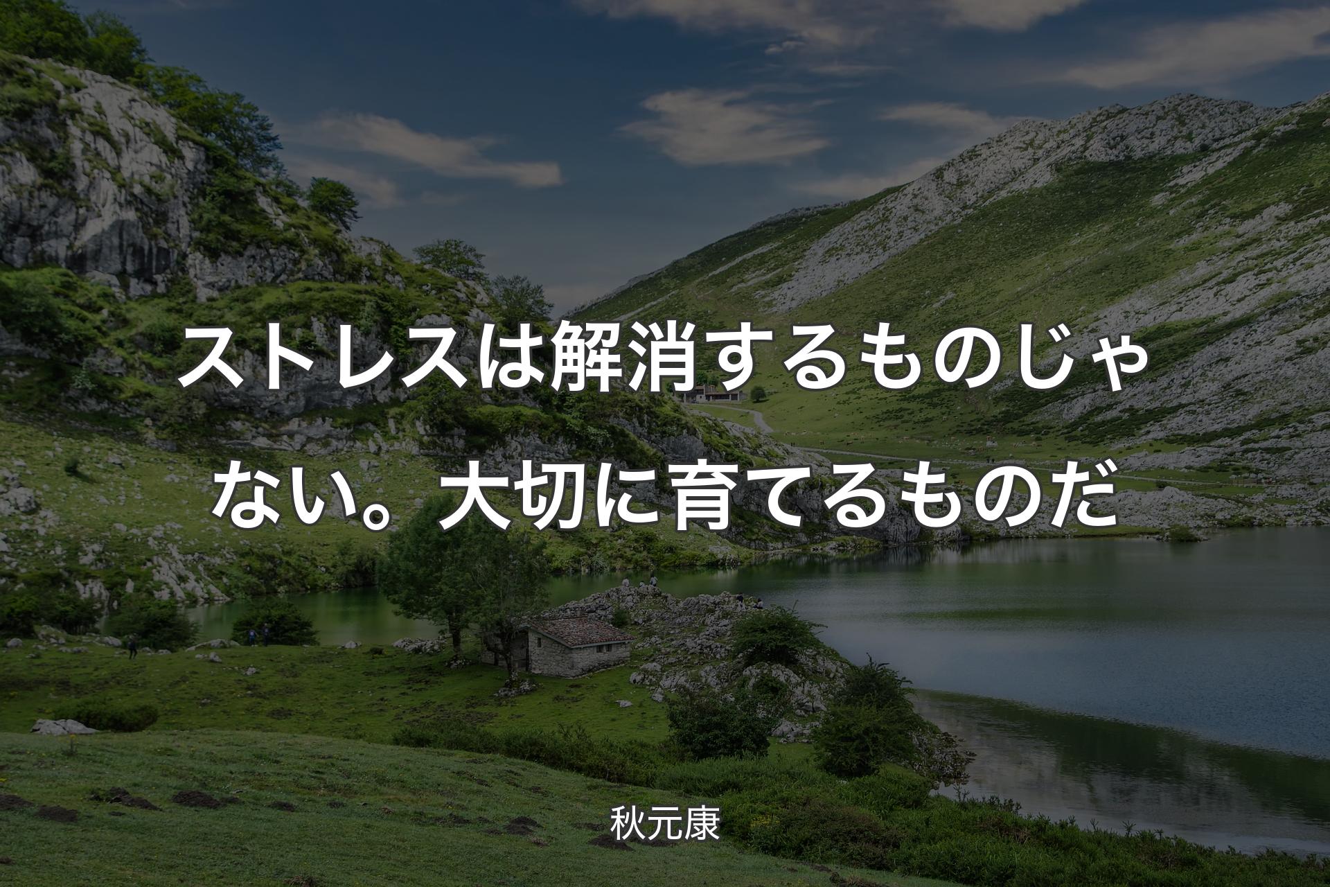 【背景1】ストレスは解消するものじゃない。大切に育てるものだ - 秋元康